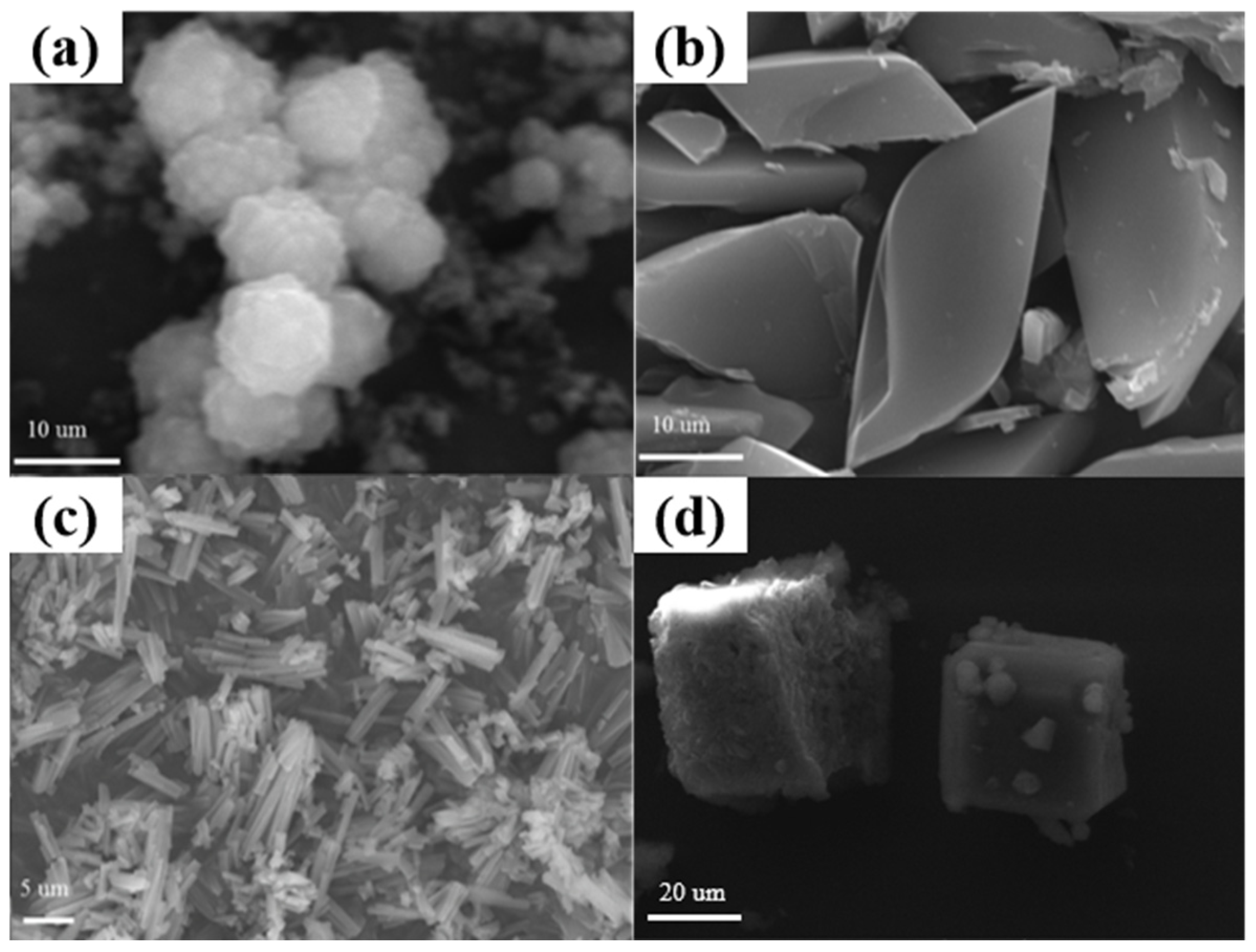 Catalysts 15 01145 g002