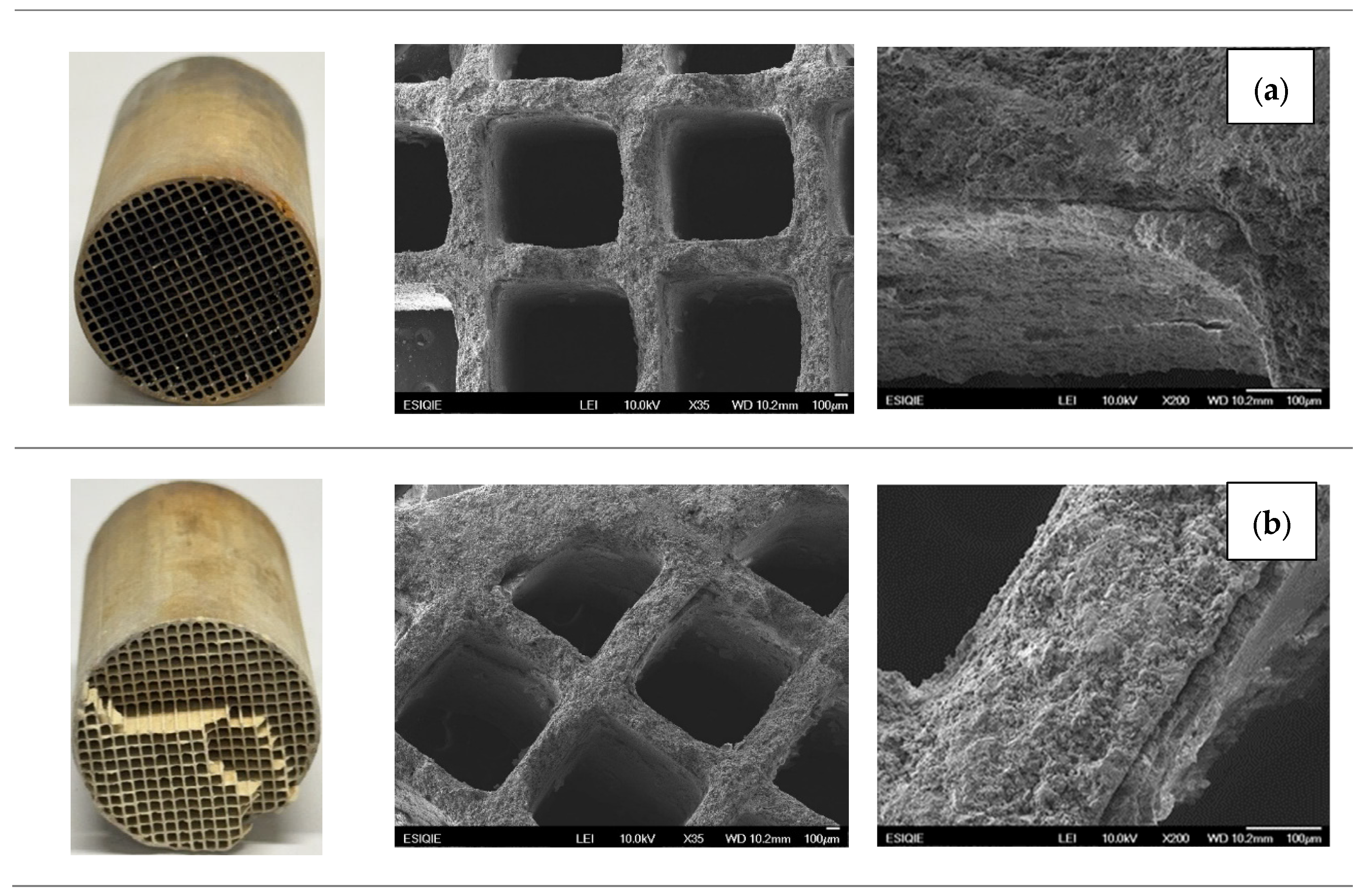 Catalysts 16 00011 g020a Catalysts 16 00011 g020a