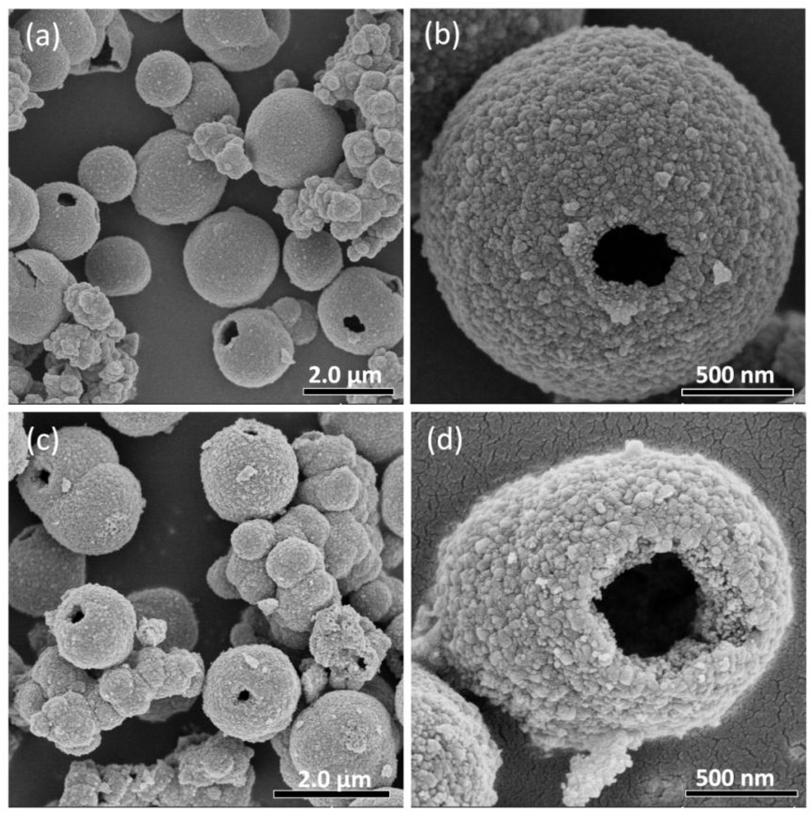 Catalysts 16 00025 g001 Catalysts 16 00025 g001
