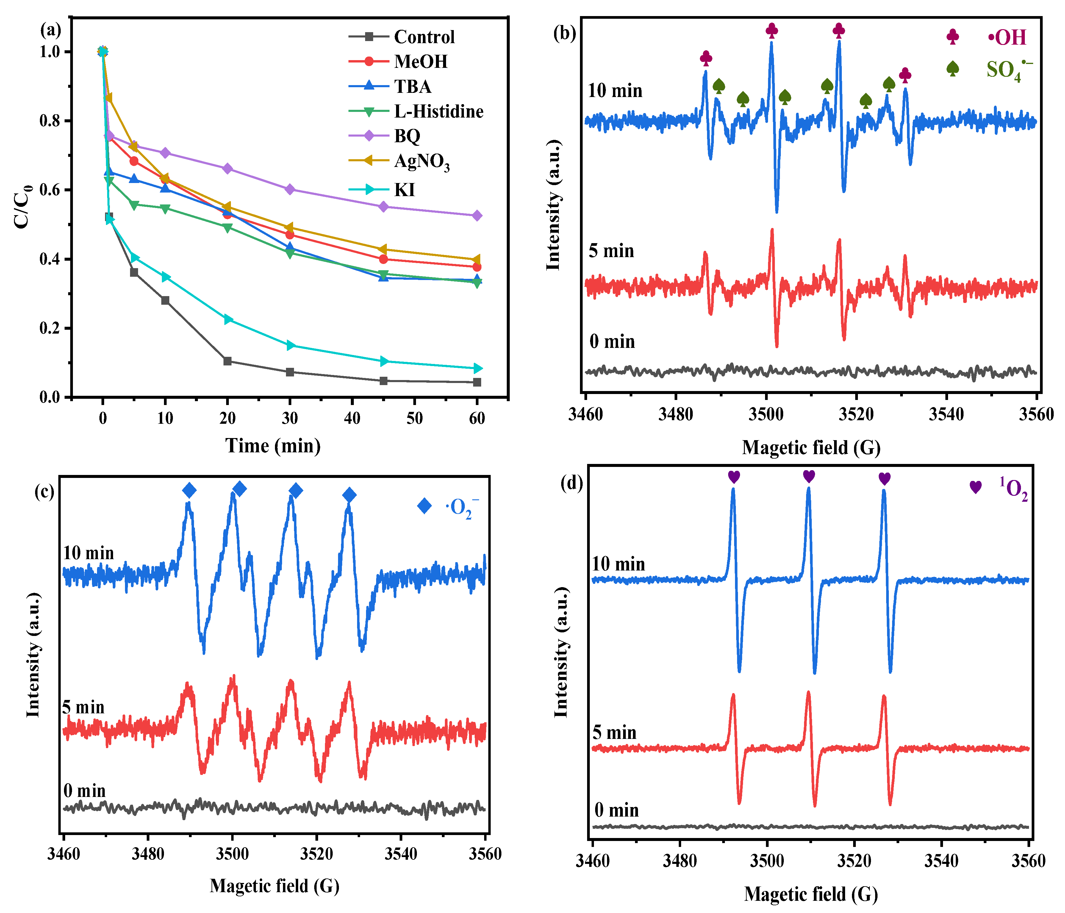 Catalysts 16 00039 g006