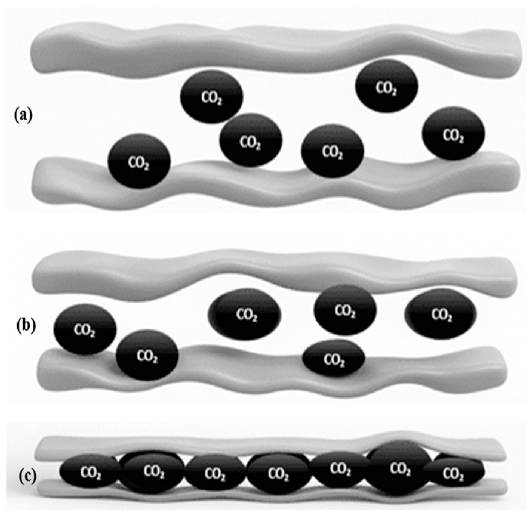 Catalysts 16 00072 g003 Catalysts 16 00072 g003