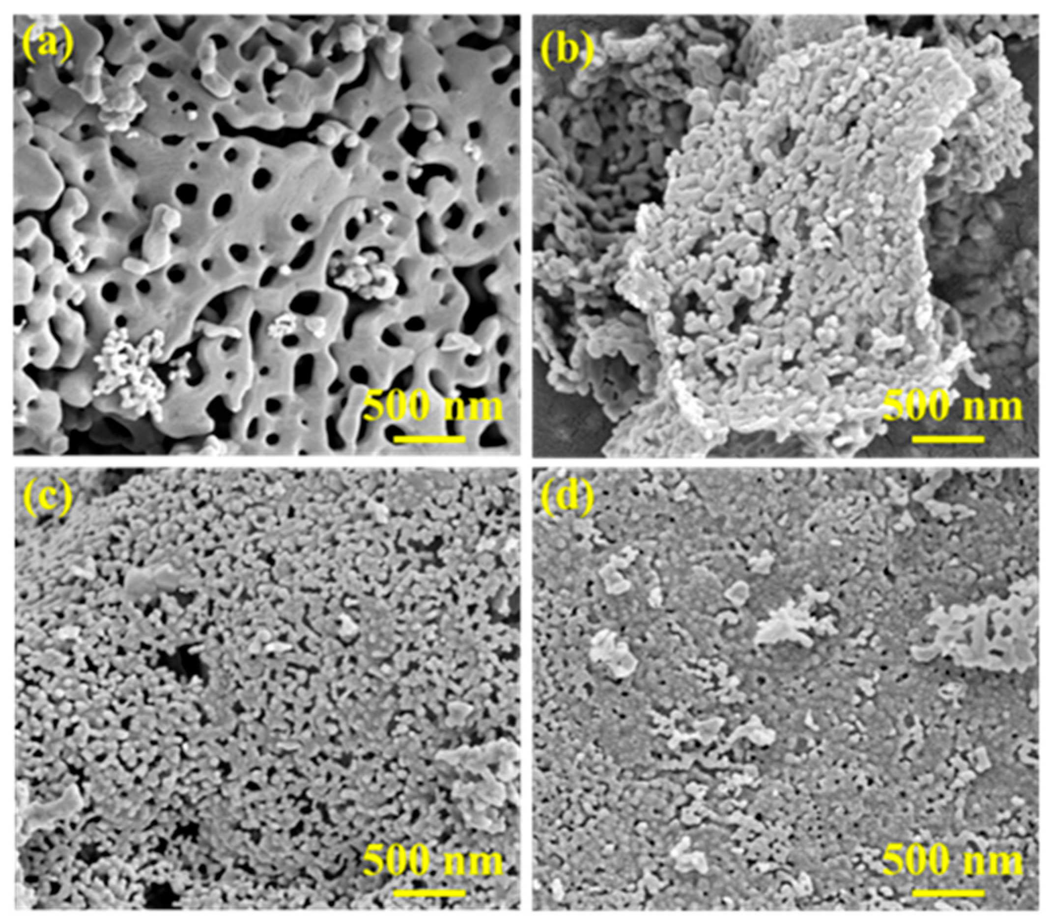 Catalysts 16 00087 g003