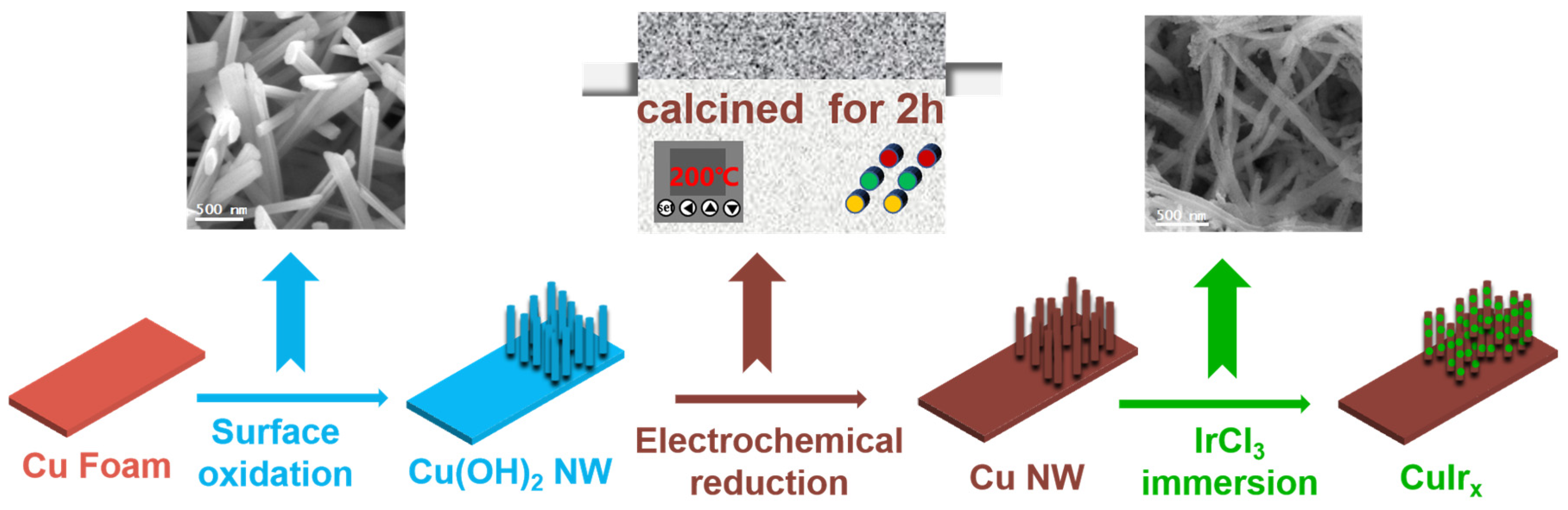 Catalysts 16 00116 g001