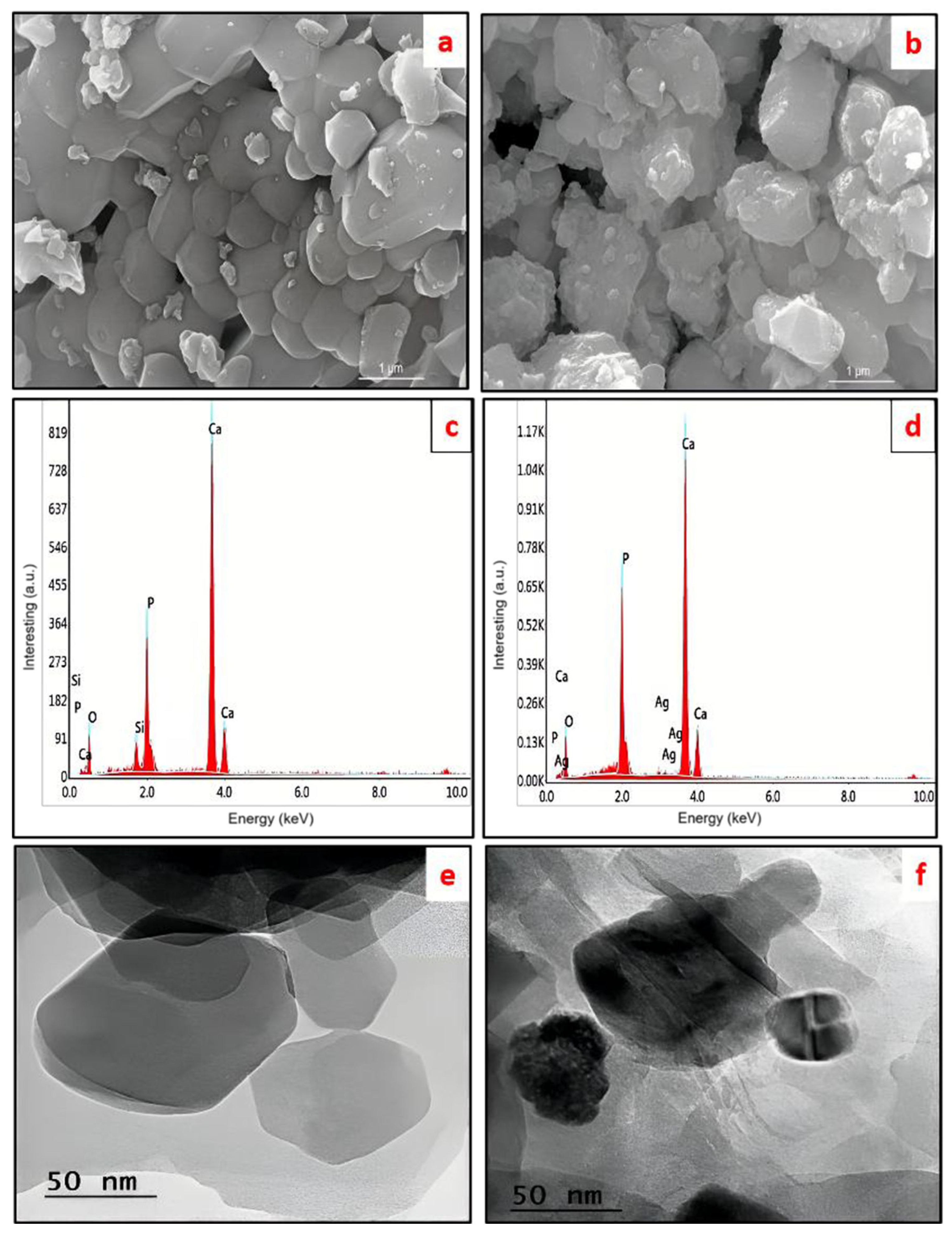 Catalysts 16 00124 g005 Catalysts 16 00124 g005