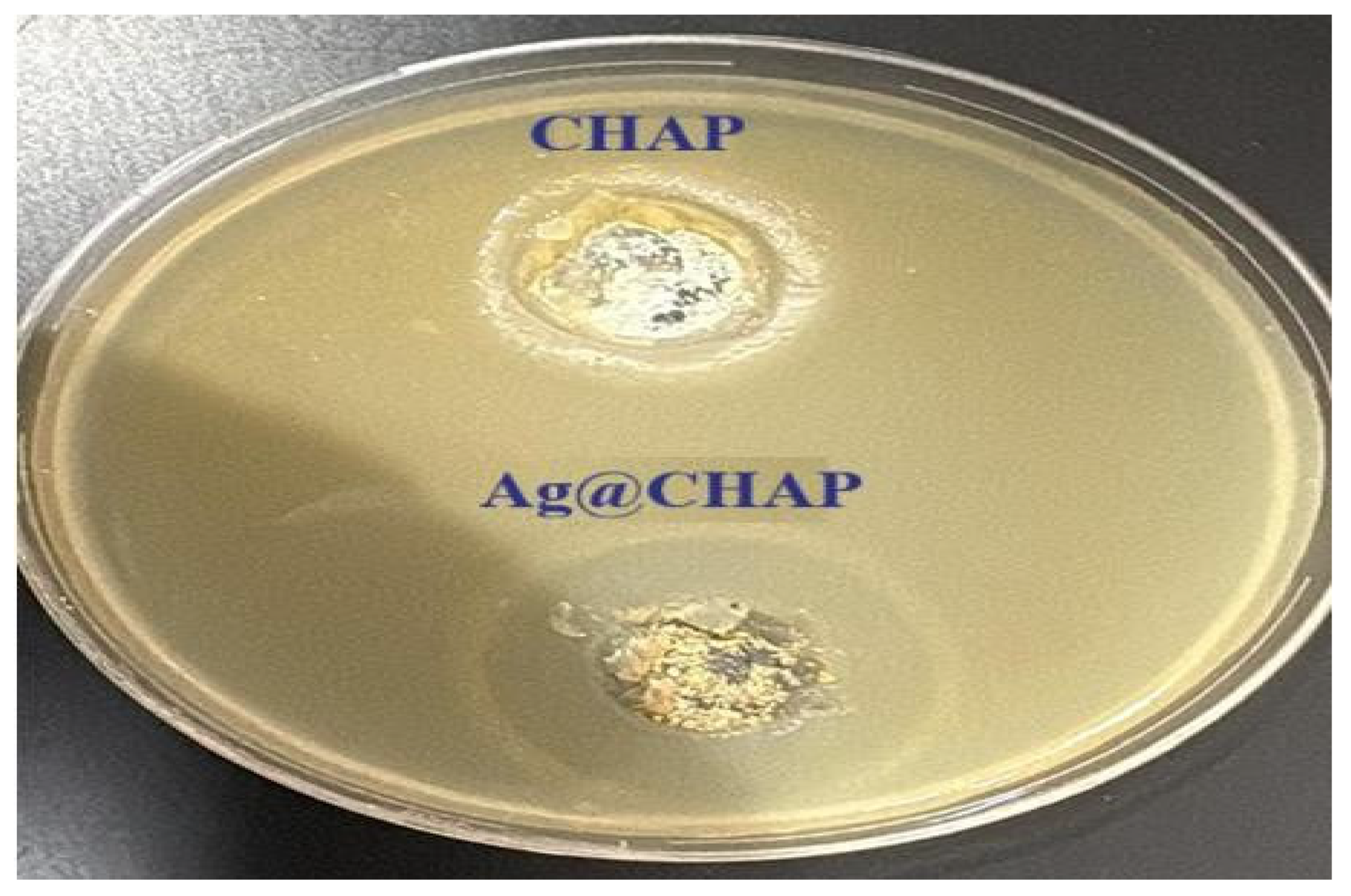 Catalysts 16 00124 g012 Catalysts 16 00124 g012
