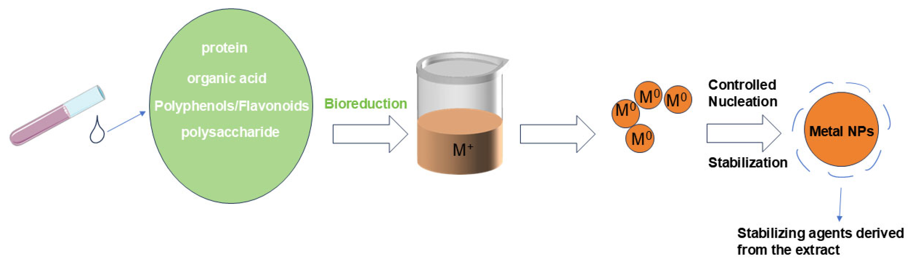 Catalysts 16 00125 g001 Catalysts 16 00125 g001