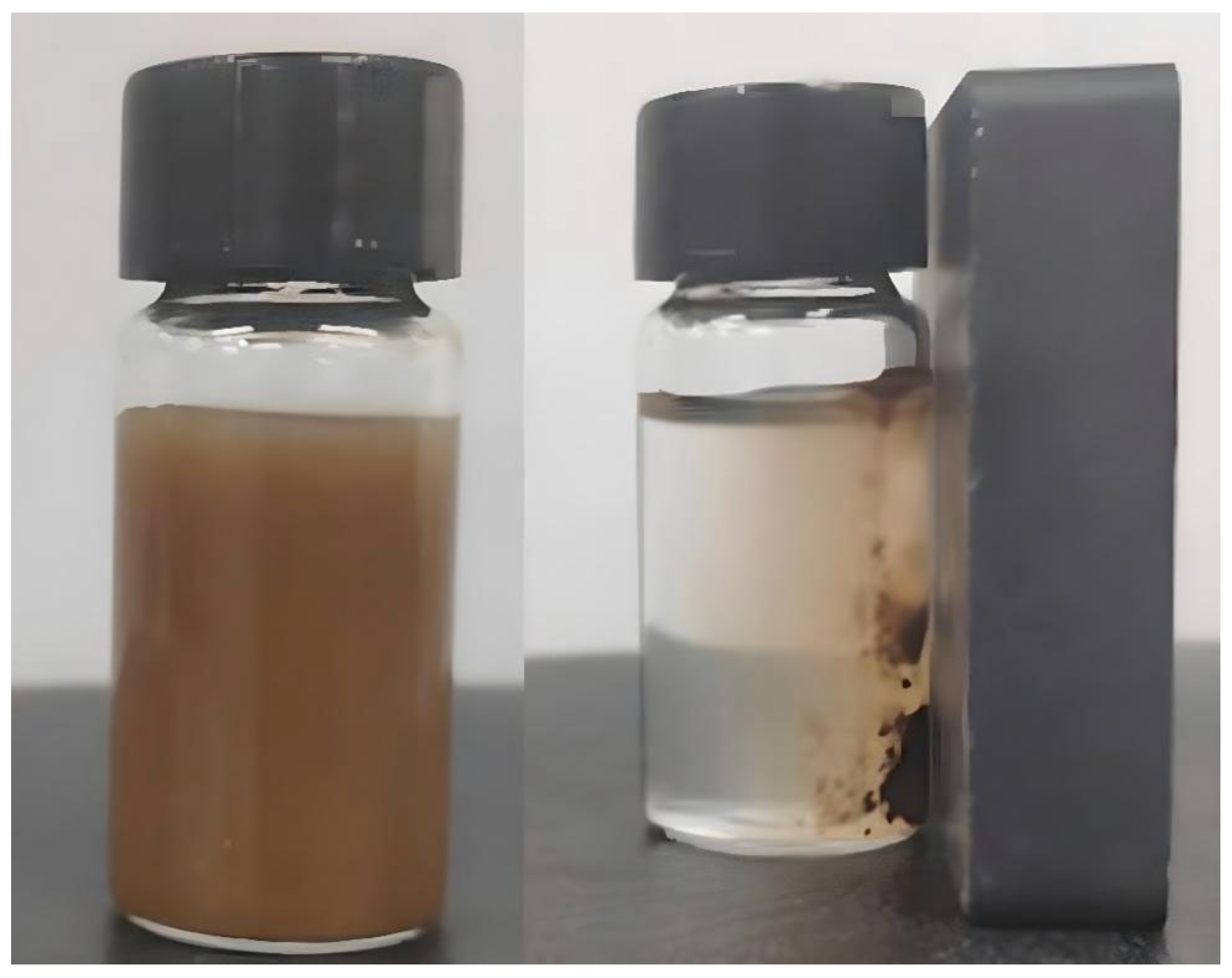 Catalysts 16 00125 g003 Catalysts 16 00125 g003