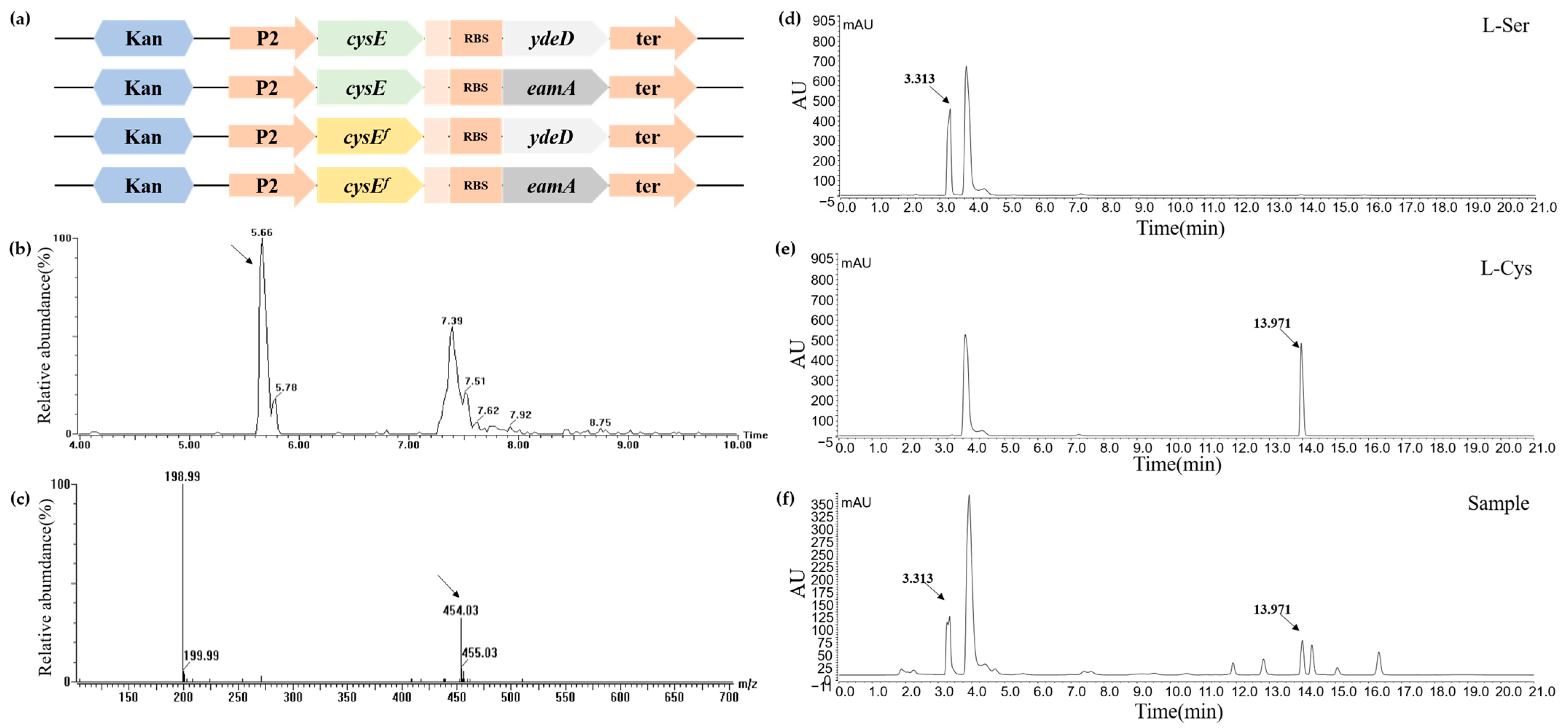 Catalysts 16 00129 g006 Catalysts 16 00129 g006