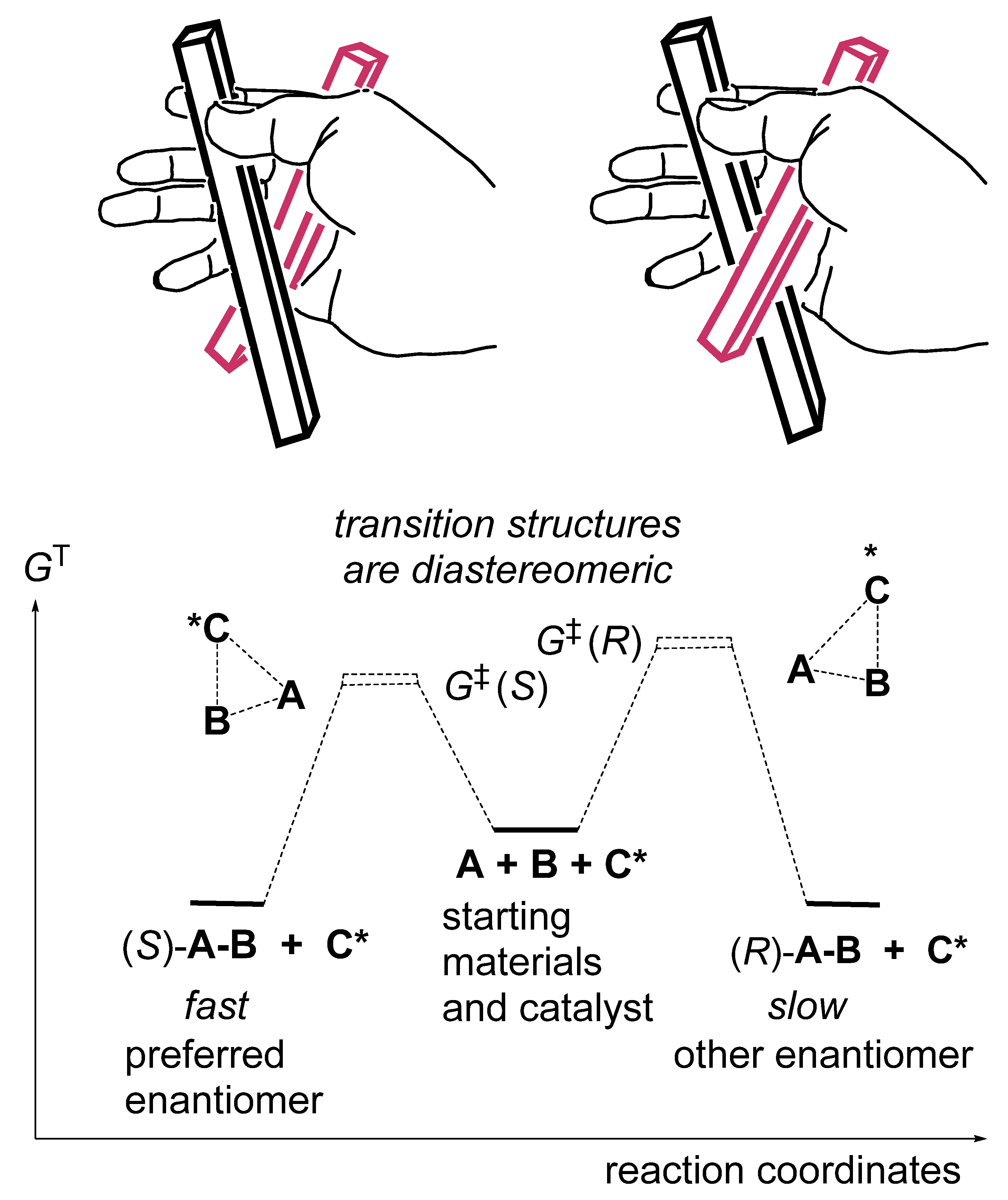 Catalysts 16 00131 g001