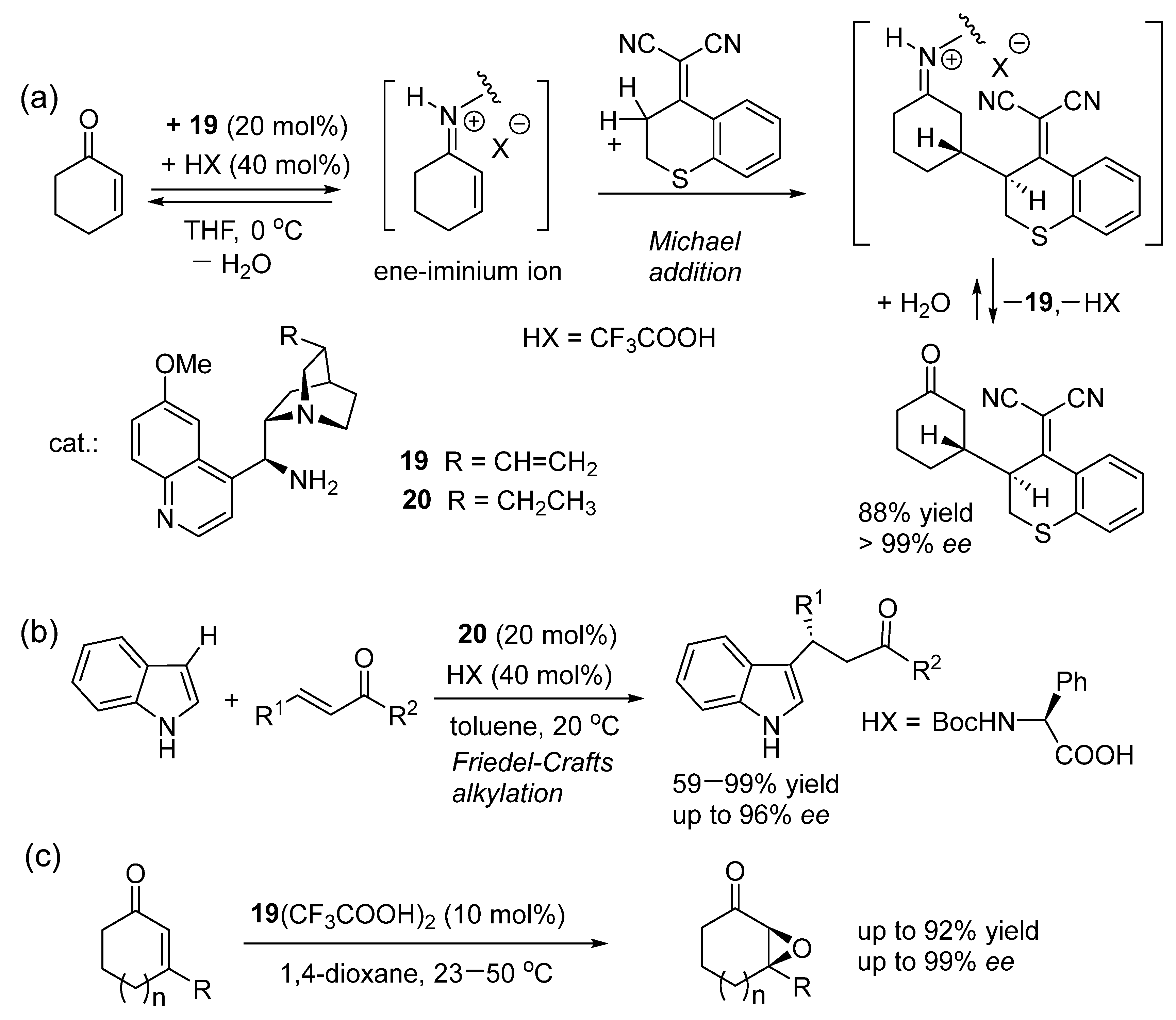 Catalysts 16 00131 g014