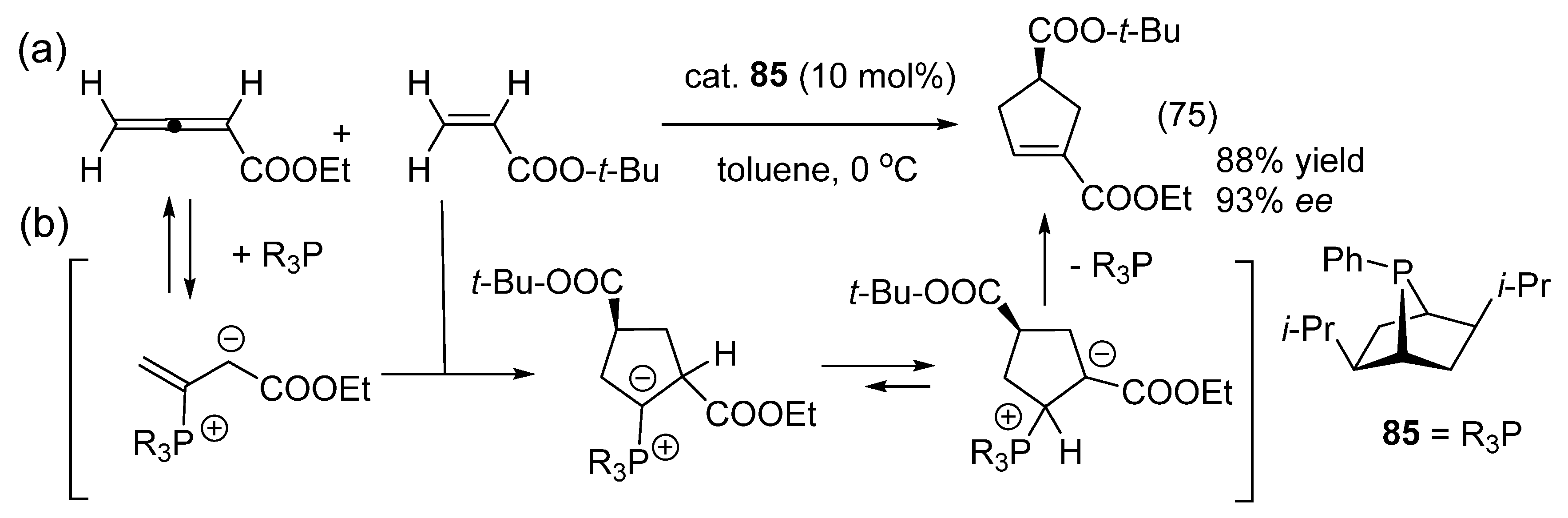 Catalysts 16 00131 g043