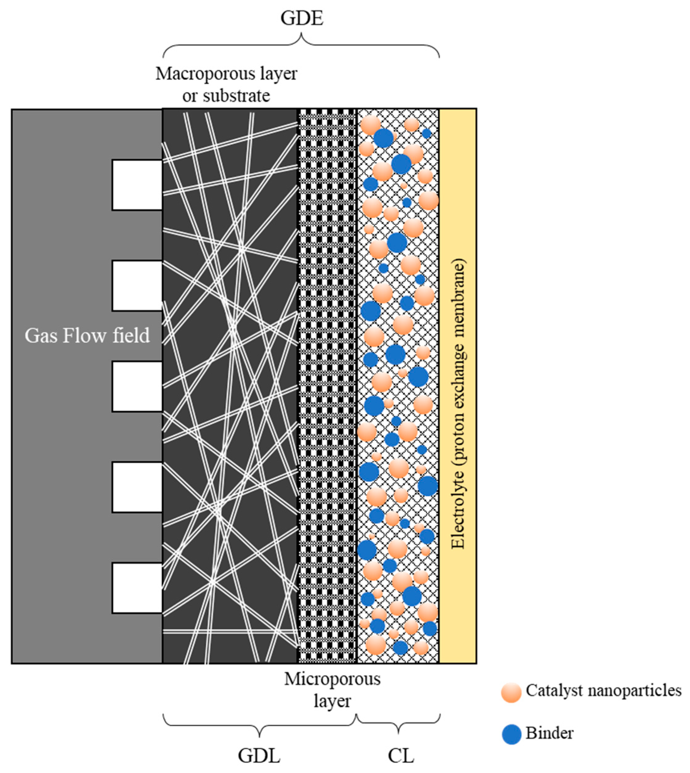 Catalysts 16 00133 g001