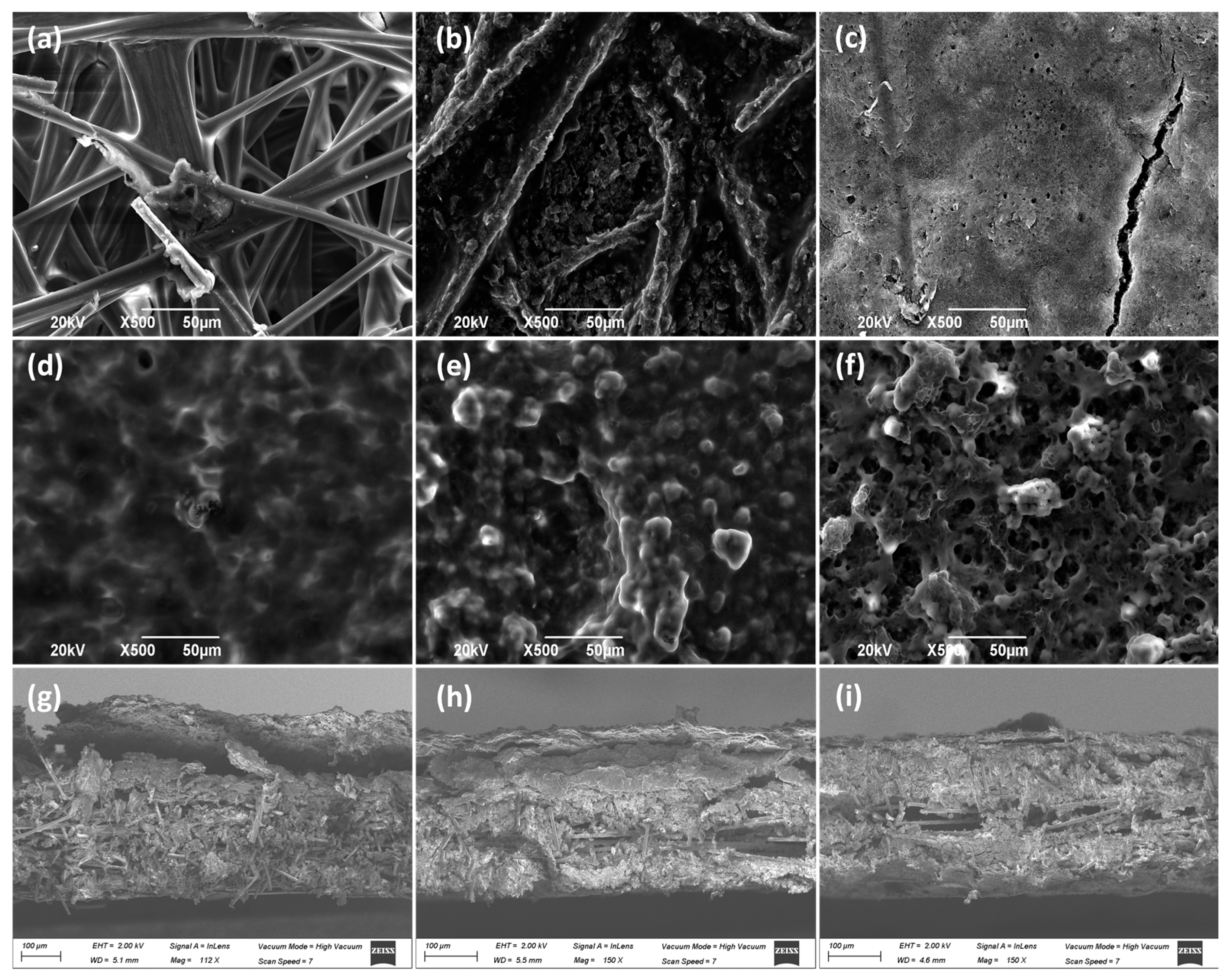 Catalysts 16 00133 g002