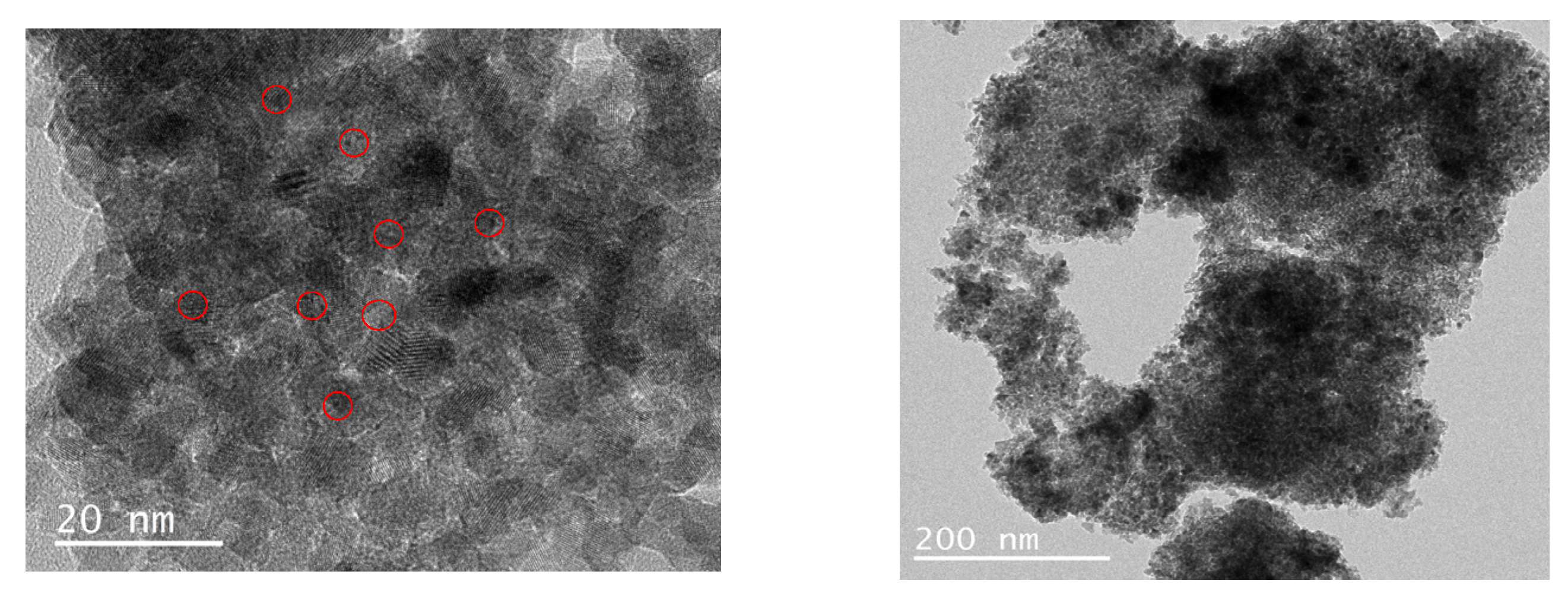 Catalysts 16 00164 g003 Catalysts 16 00164 g003