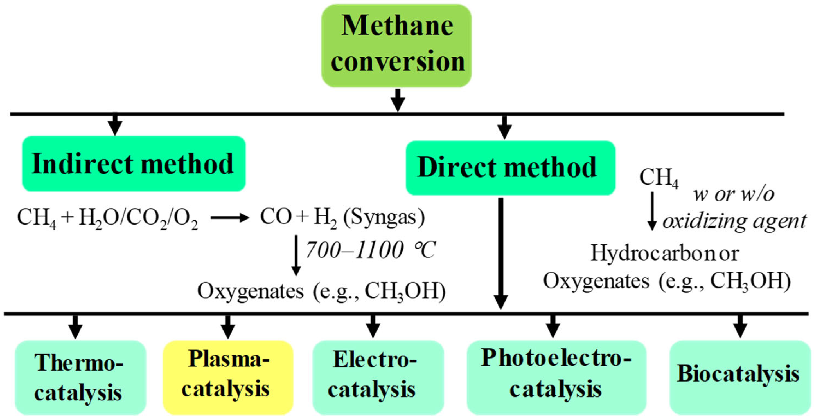 Catalysts 16 00165 g001 Catalysts 16 00165 g001