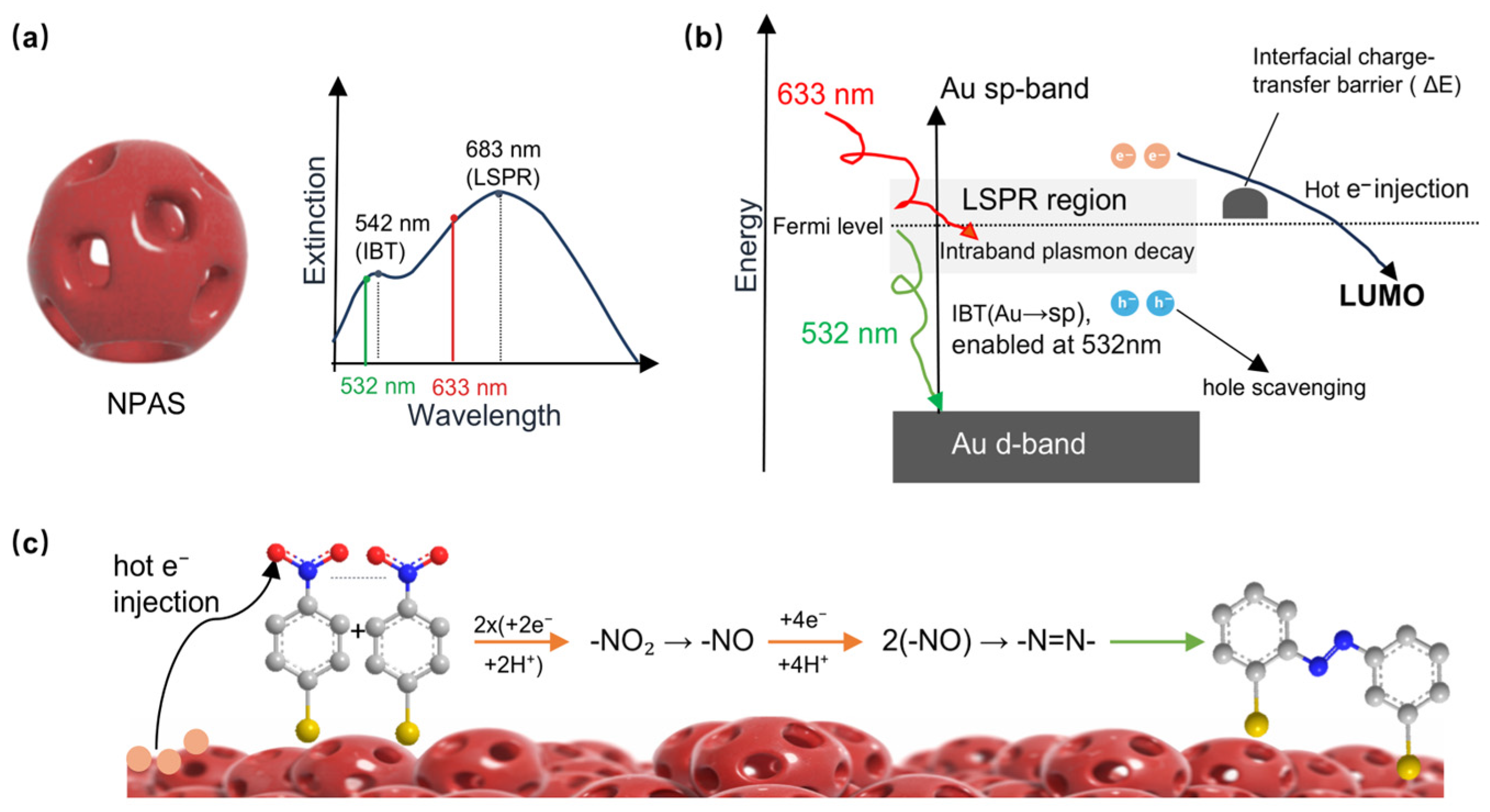 Catalysts 16 00166 g003