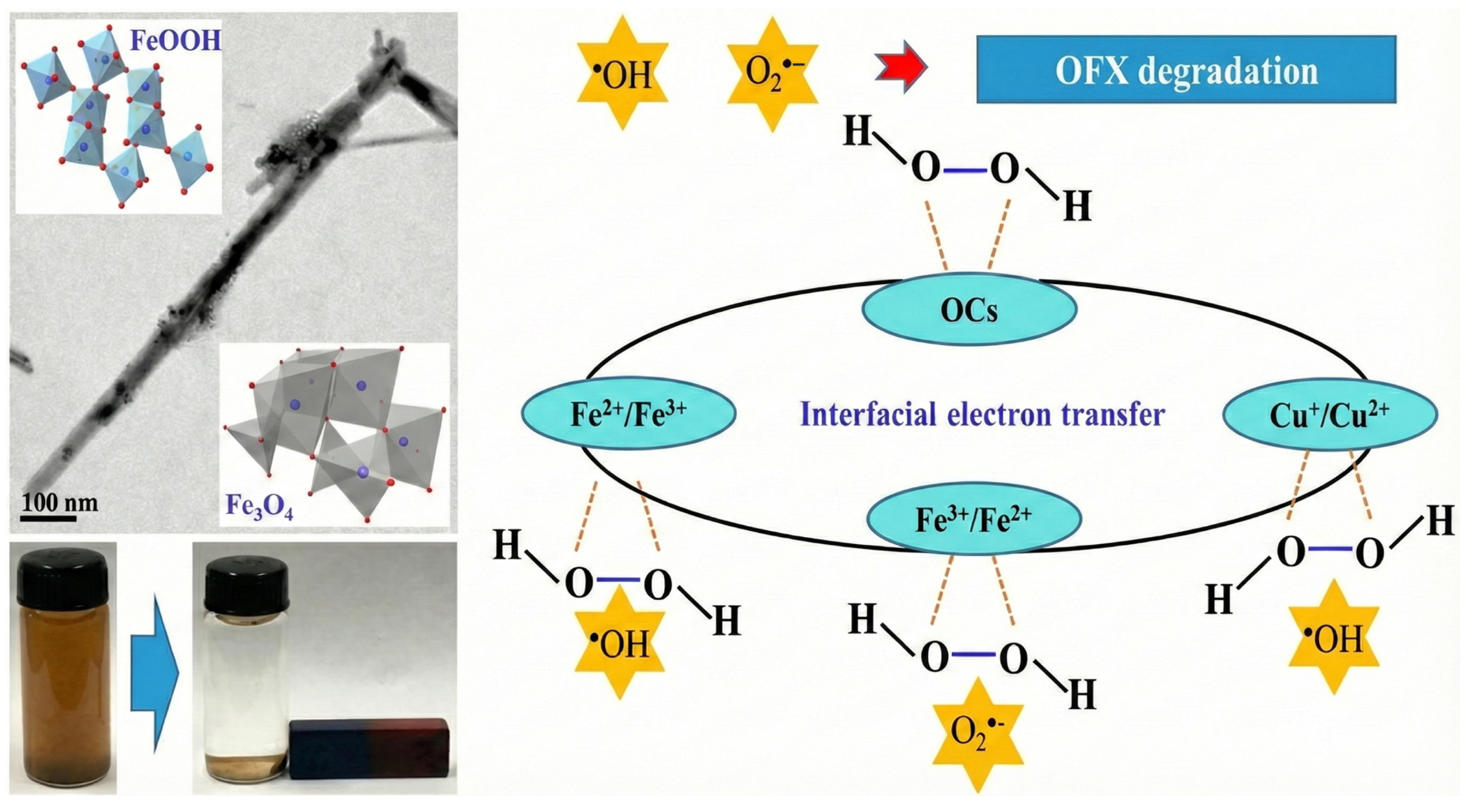 Catalysts 16 00169 g006