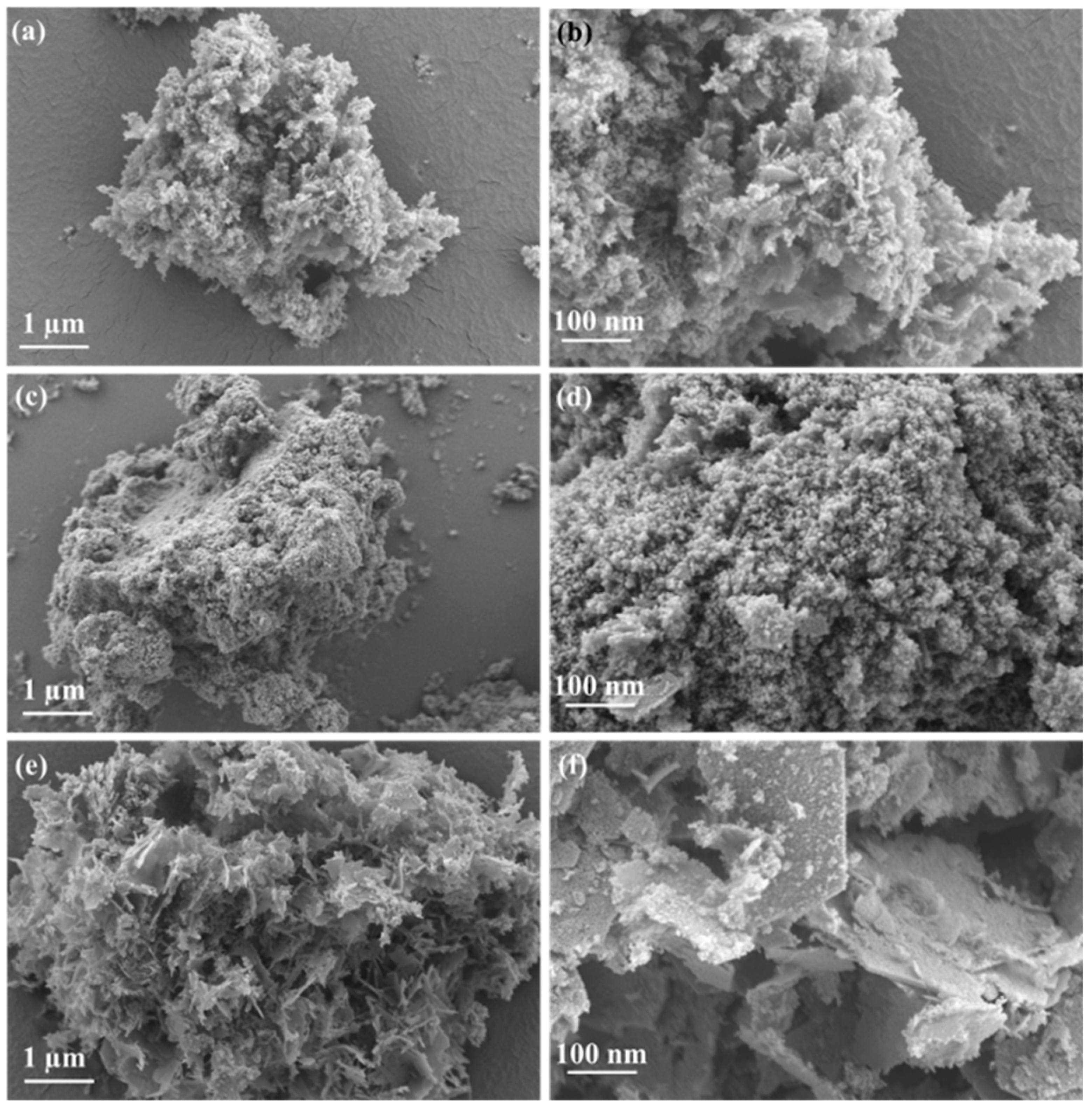 Catalysts 16 00187 g002 Catalysts 16 00187 g002