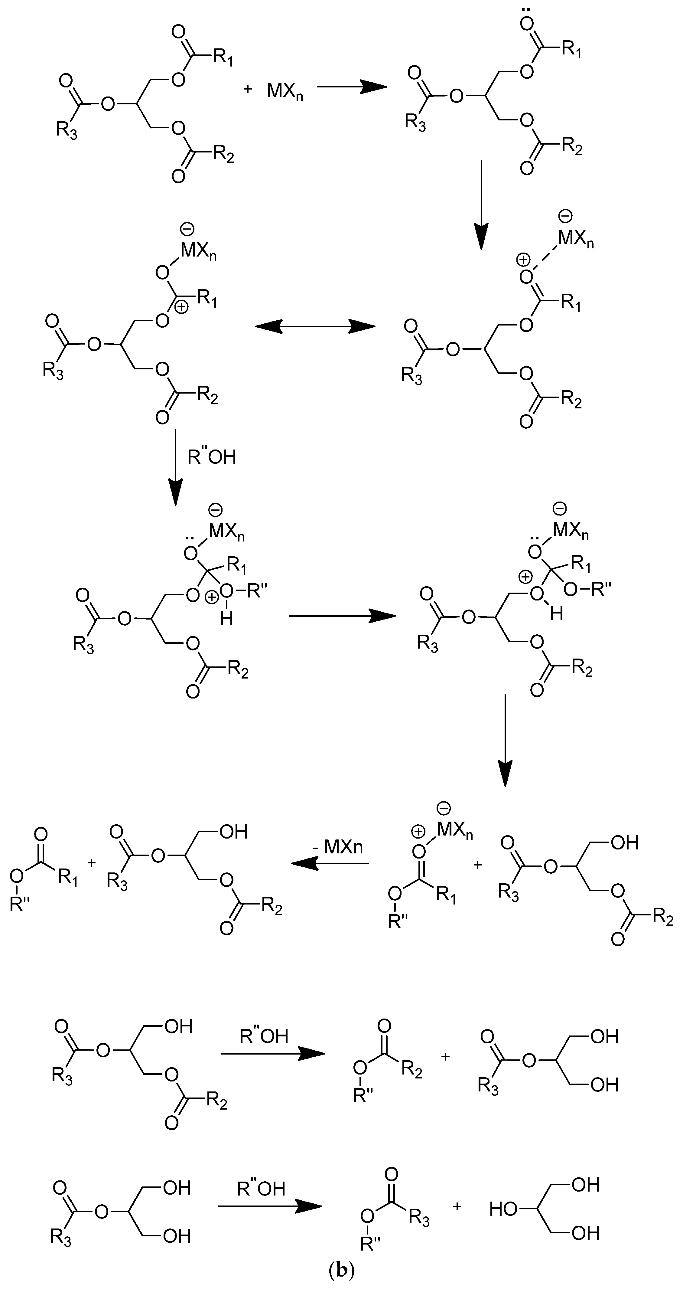 Catalysts 16 00202 sch001b