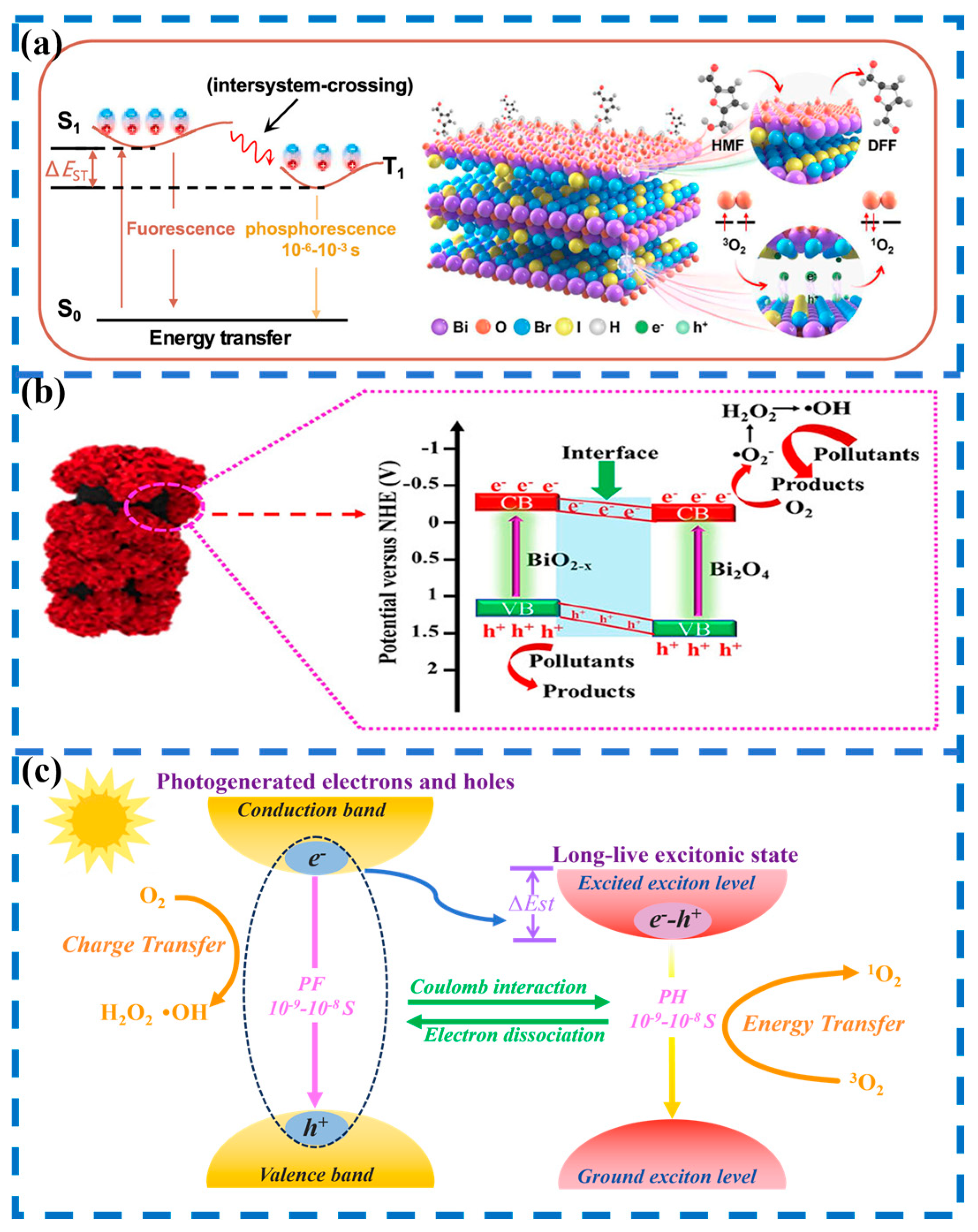 Catalysts 16 00206 g001