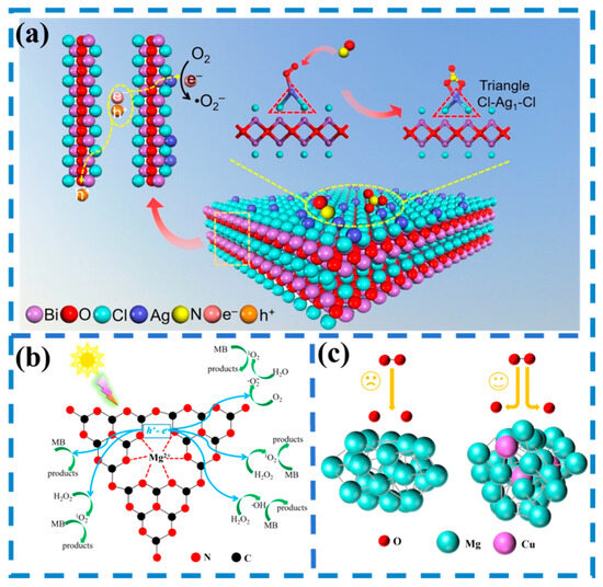 Catalysts 16 00206 g003