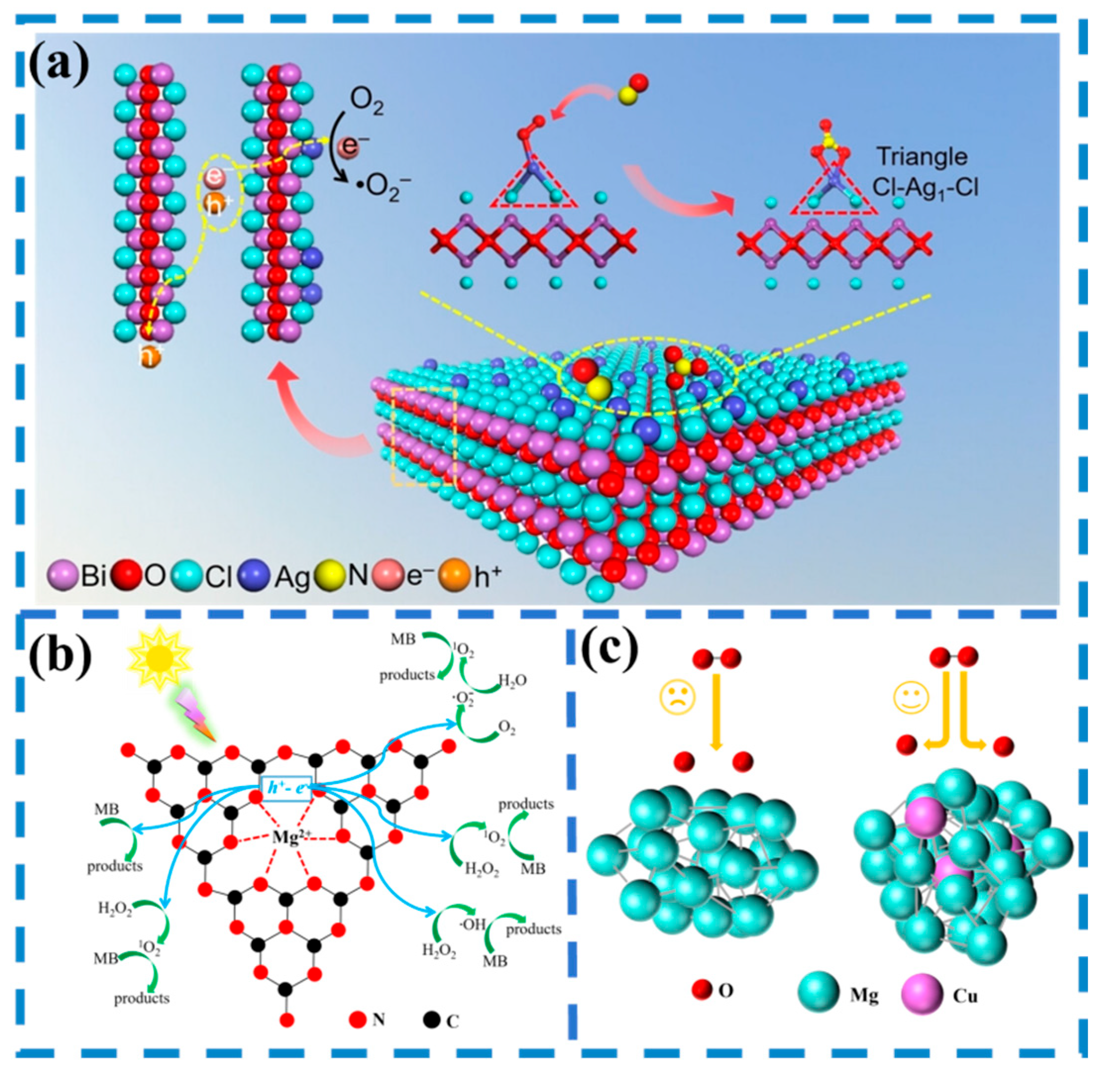 Catalysts 16 00206 g003