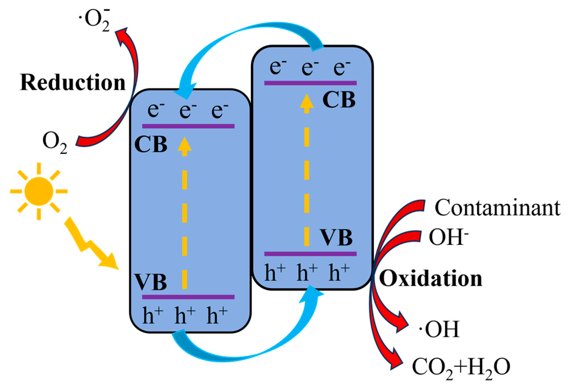 Catalysts 16 00206 g004