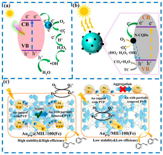 Catalysts 16 00206 g007
