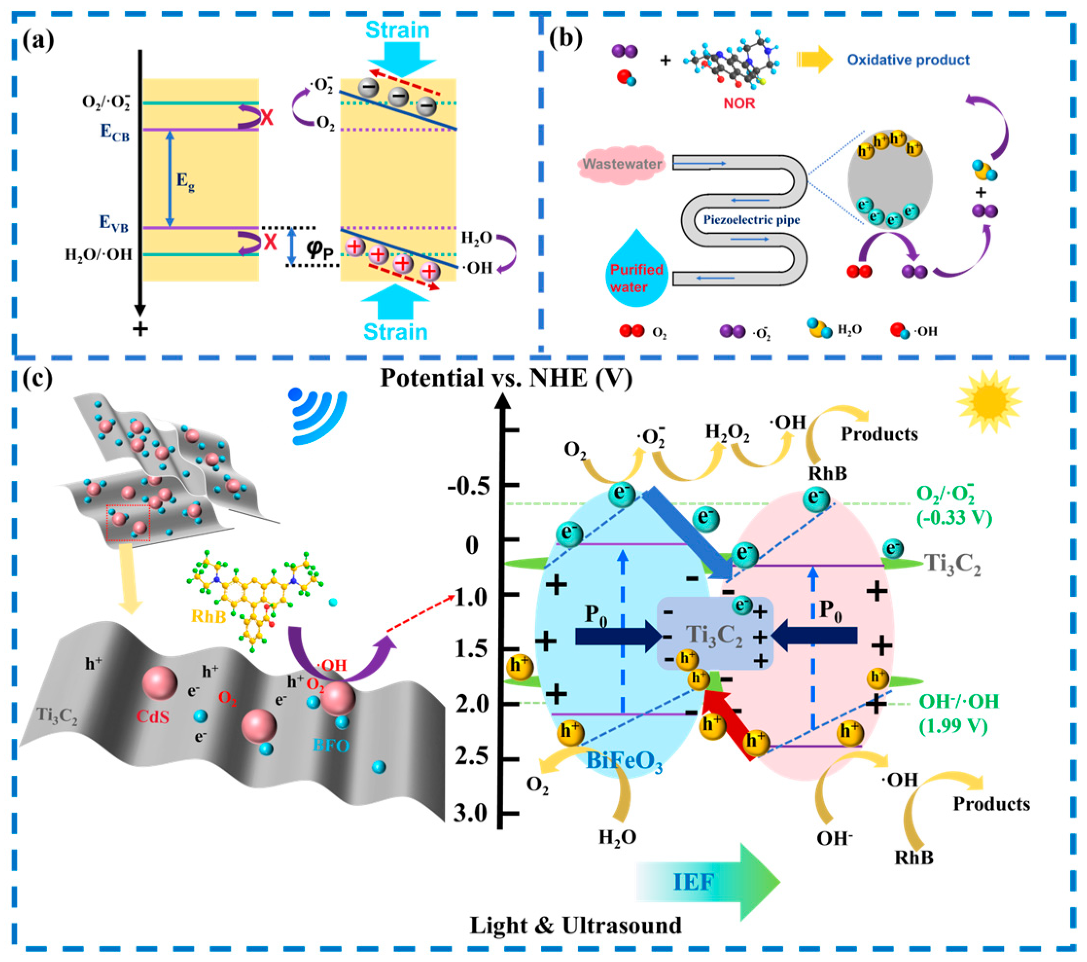 Catalysts 16 00206 g011