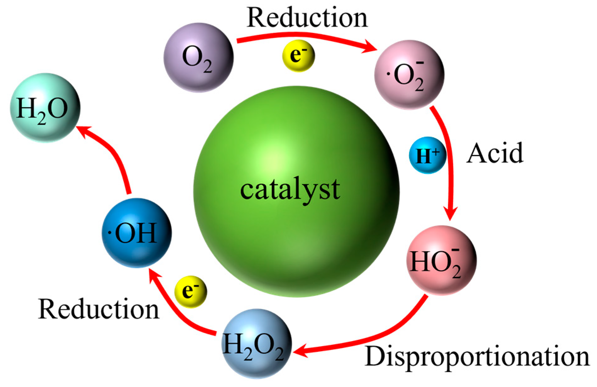 Catalysts 16 00206 g013