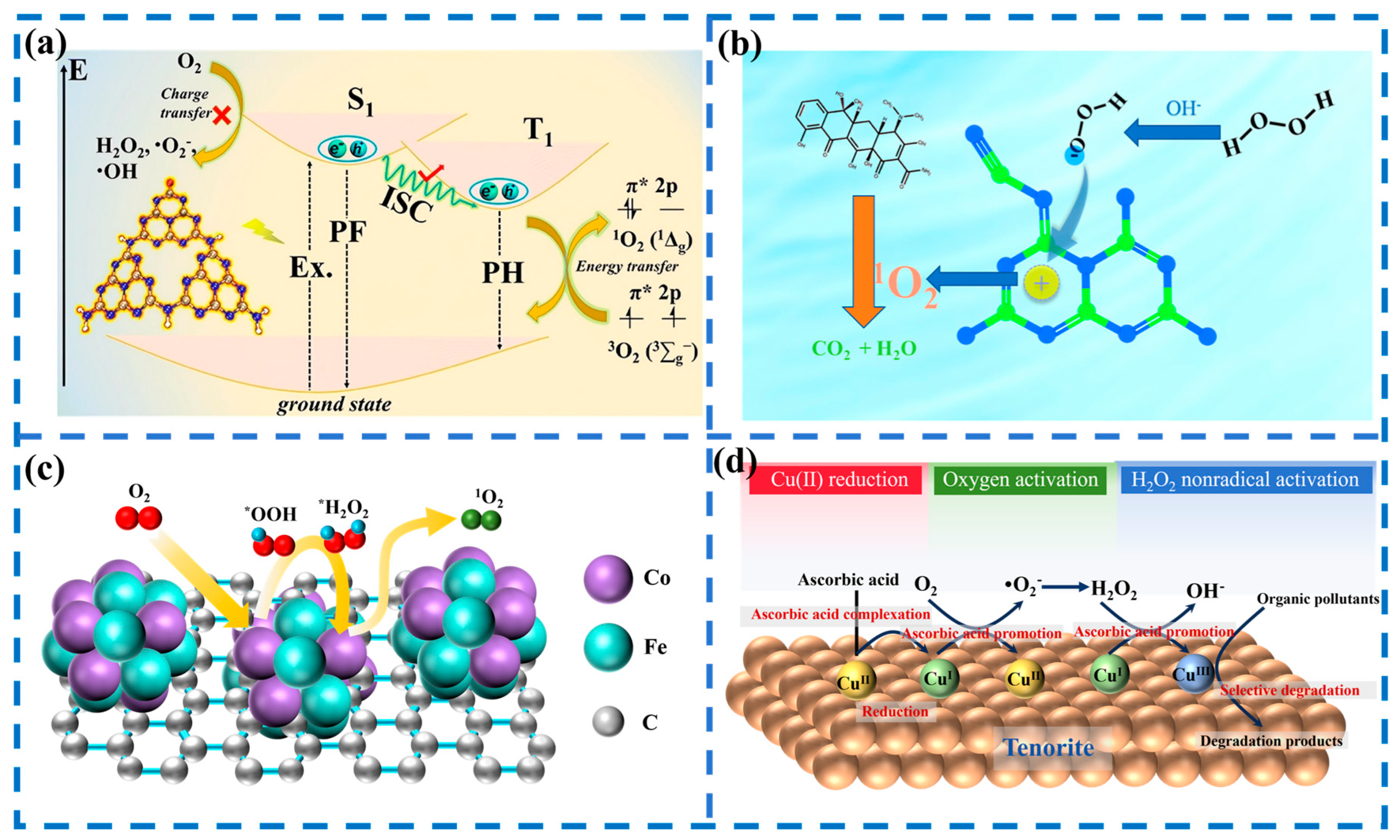Catalysts 16 00206 g014