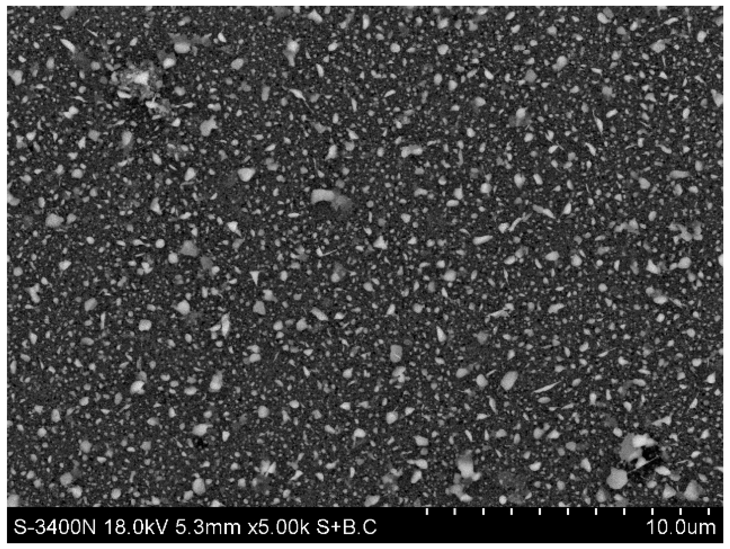Catalysts 16 00211 g003 Catalysts 16 00211 g003