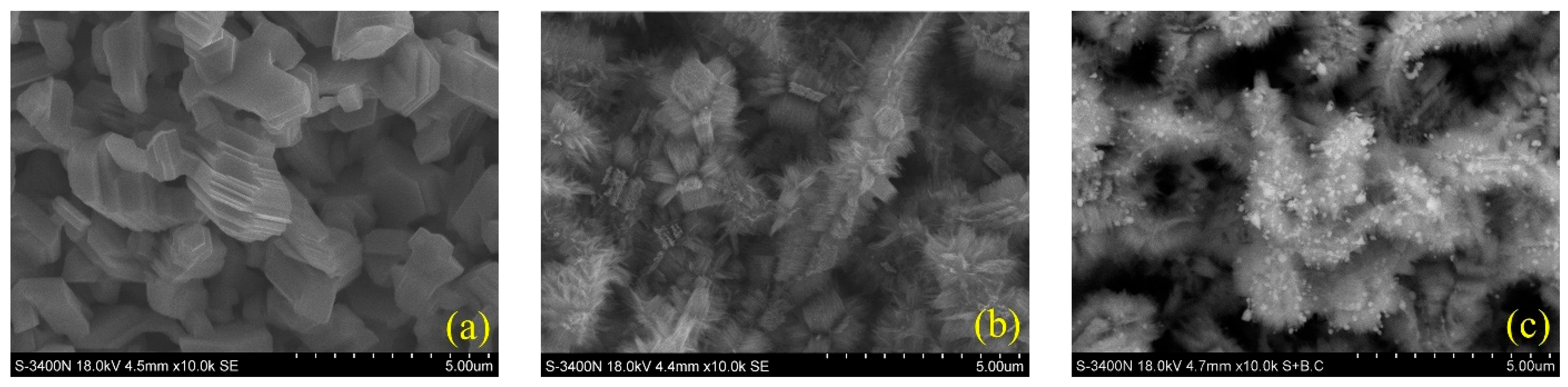 Catalysts 16 00211 g006 Catalysts 16 00211 g006