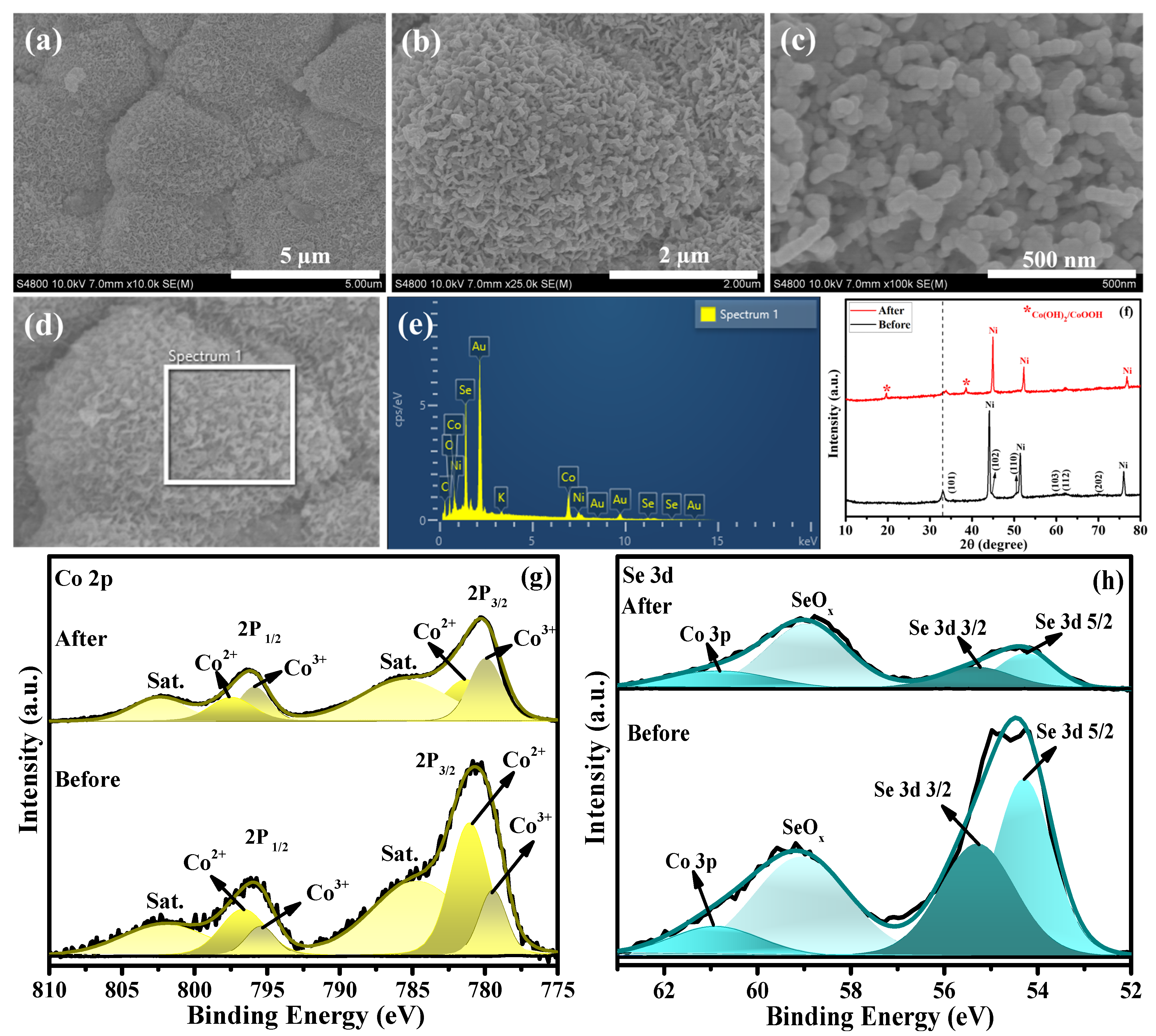 Catalysts 16 00232 g005 Catalysts 16 00232 g005