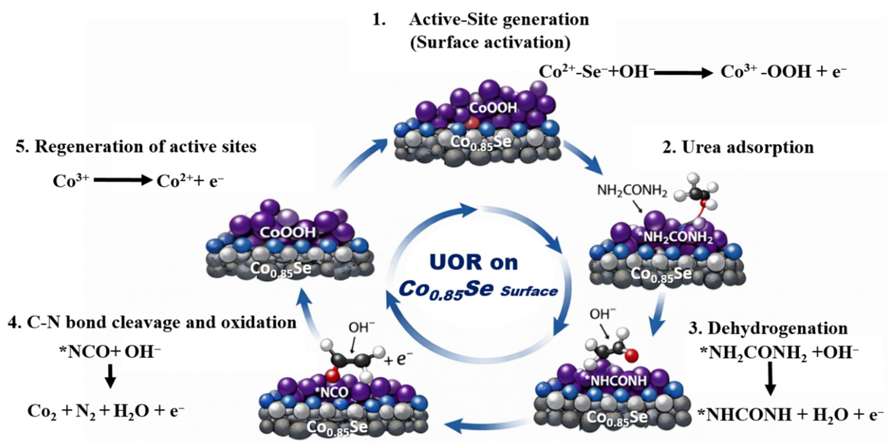 Catalysts 16 00232 g006 Catalysts 16 00232 g006