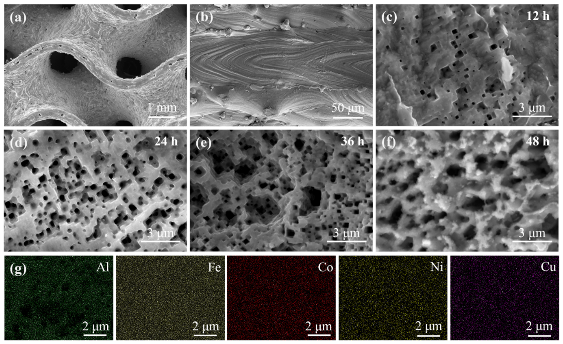 Catalysts 16 00235 g002 Catalysts 16 00235 g002
