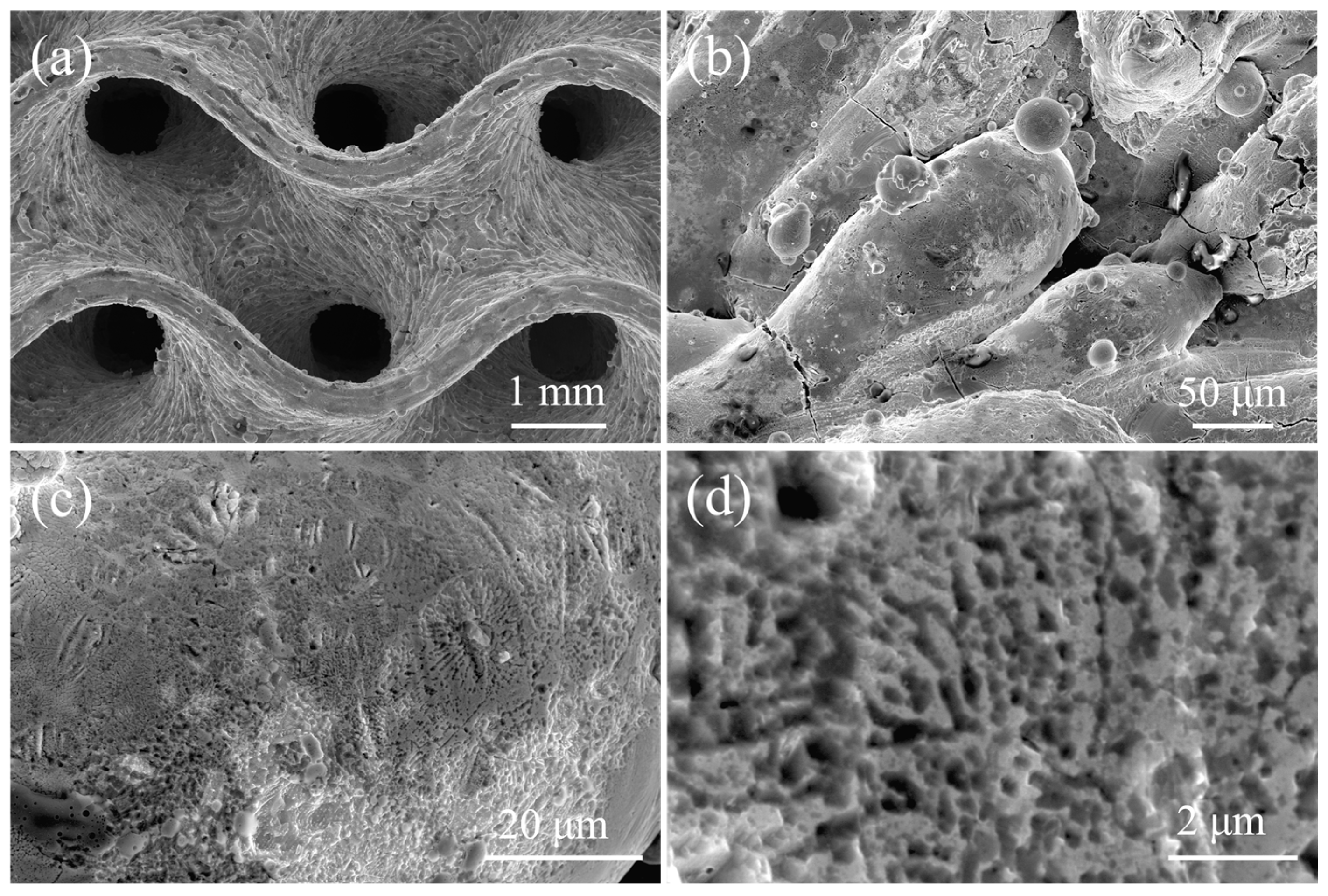 Catalysts 16 00235 g004 Catalysts 16 00235 g004