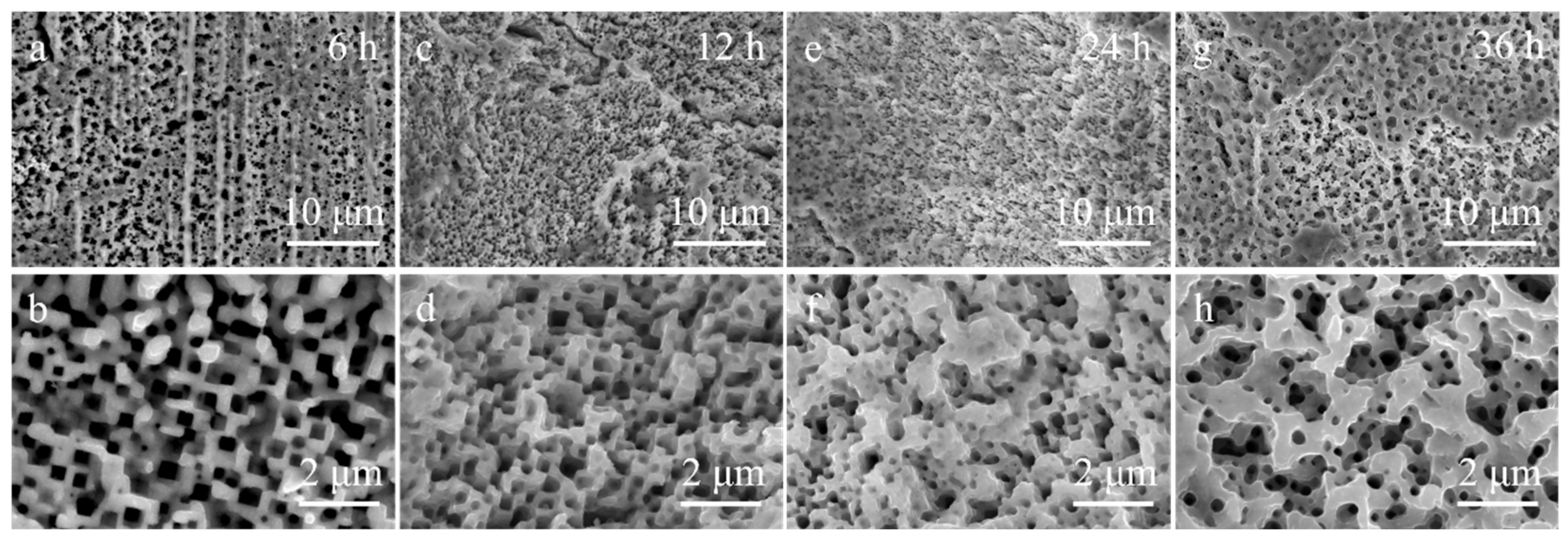 Catalysts 16 00235 g006 Catalysts 16 00235 g006