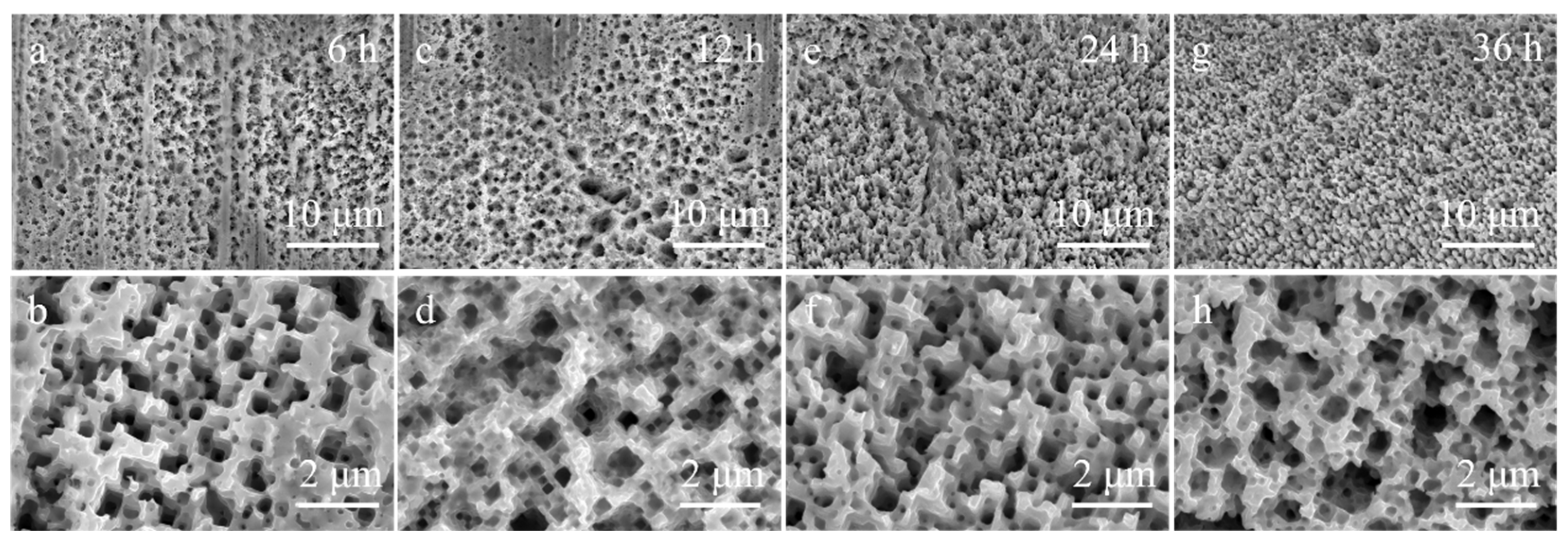 Catalysts 16 00235 g007 Catalysts 16 00235 g007
