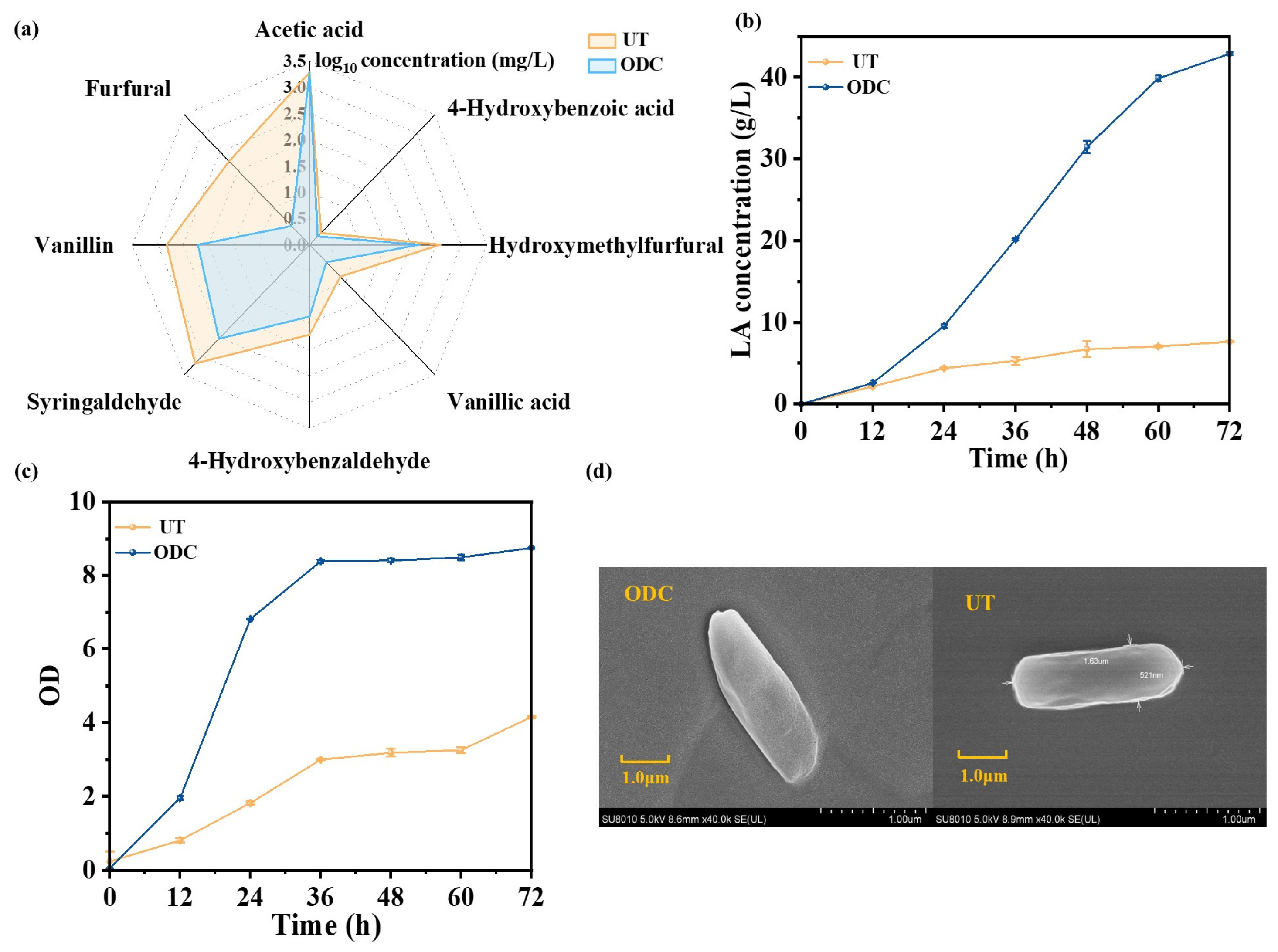 Catalysts 16 00242 g003 Catalysts 16 00242 g003