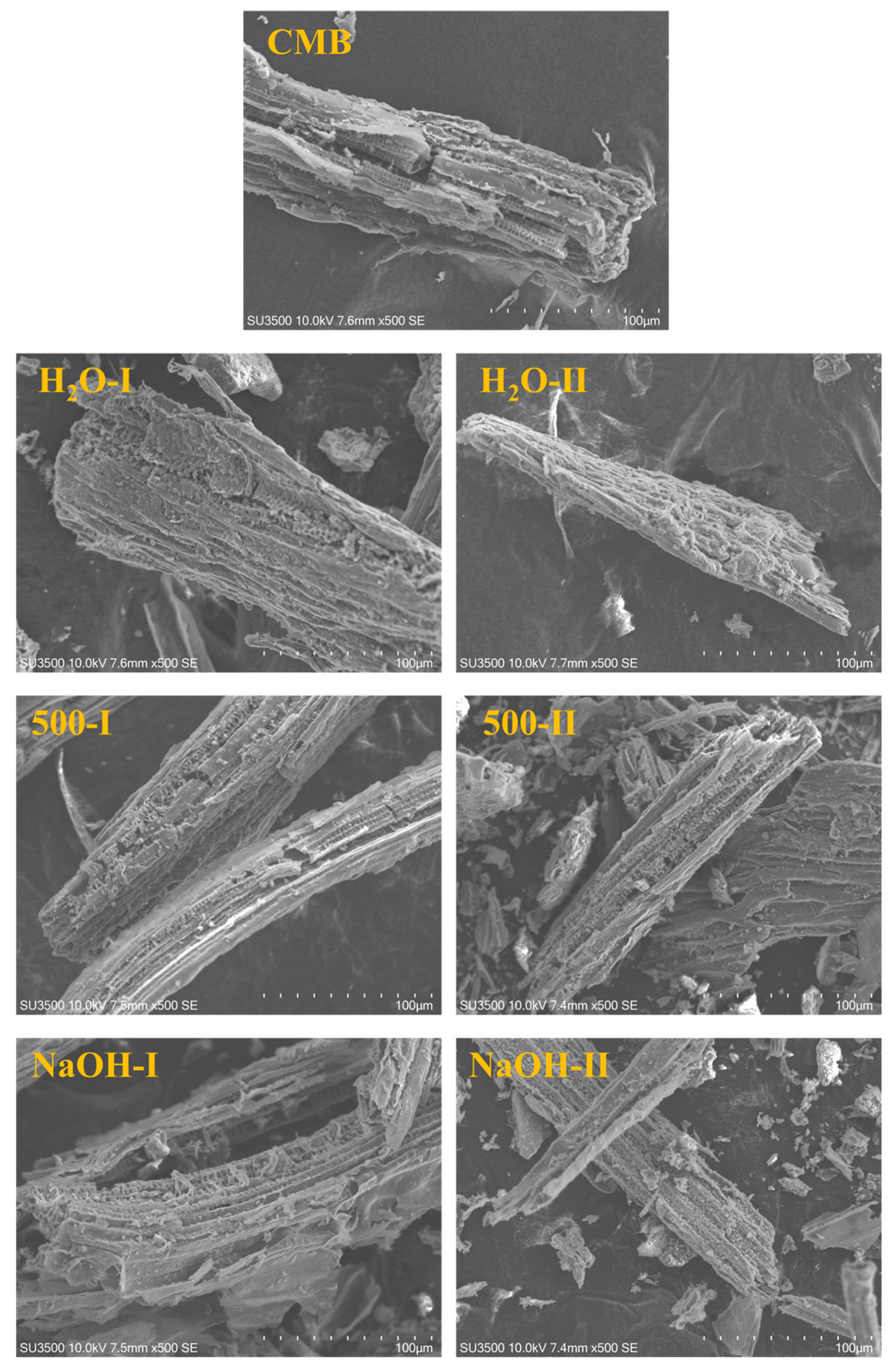Catalysts 16 00242 g006 Catalysts 16 00242 g006