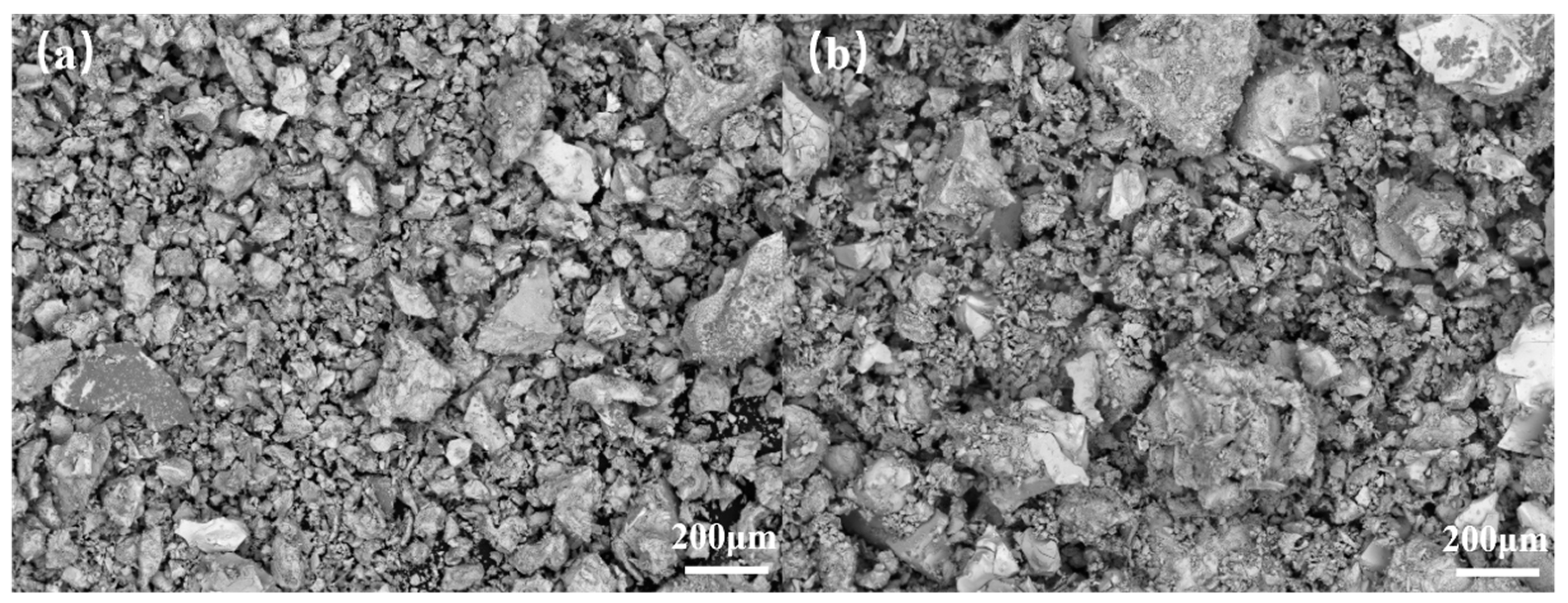Catalysts 16 00248 g004