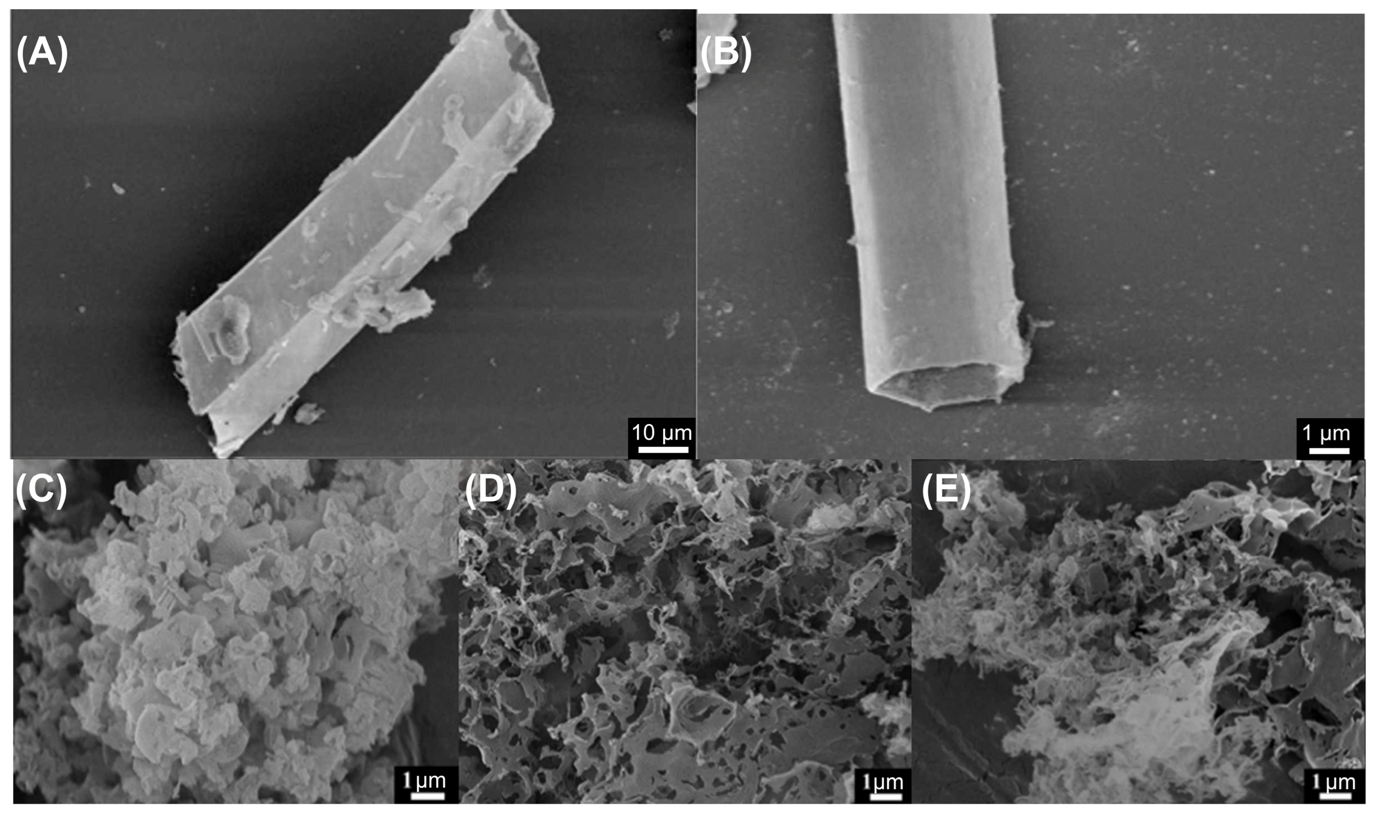 Catalysts 16 00249 g005