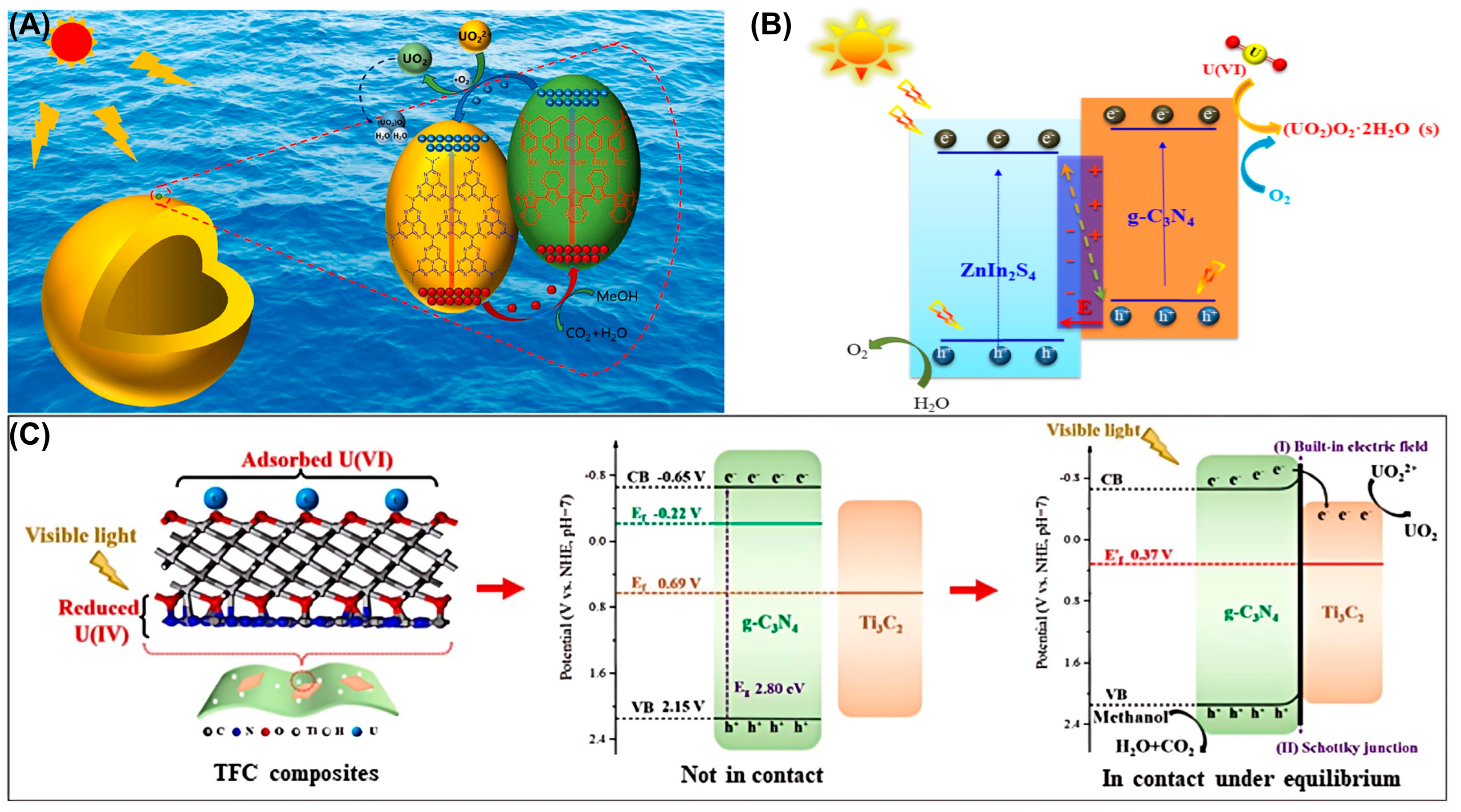 Catalysts 16 00249 g007