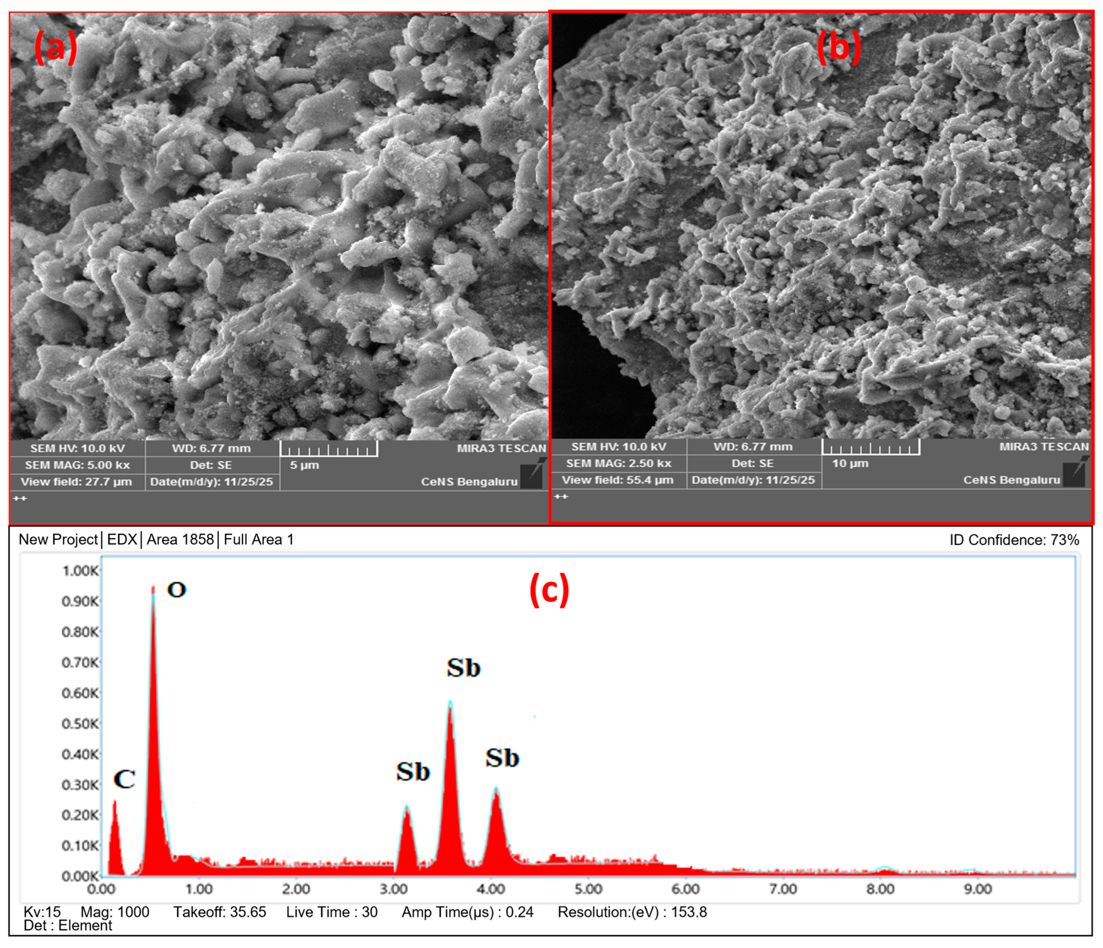 Catalysts 16 00257 g002