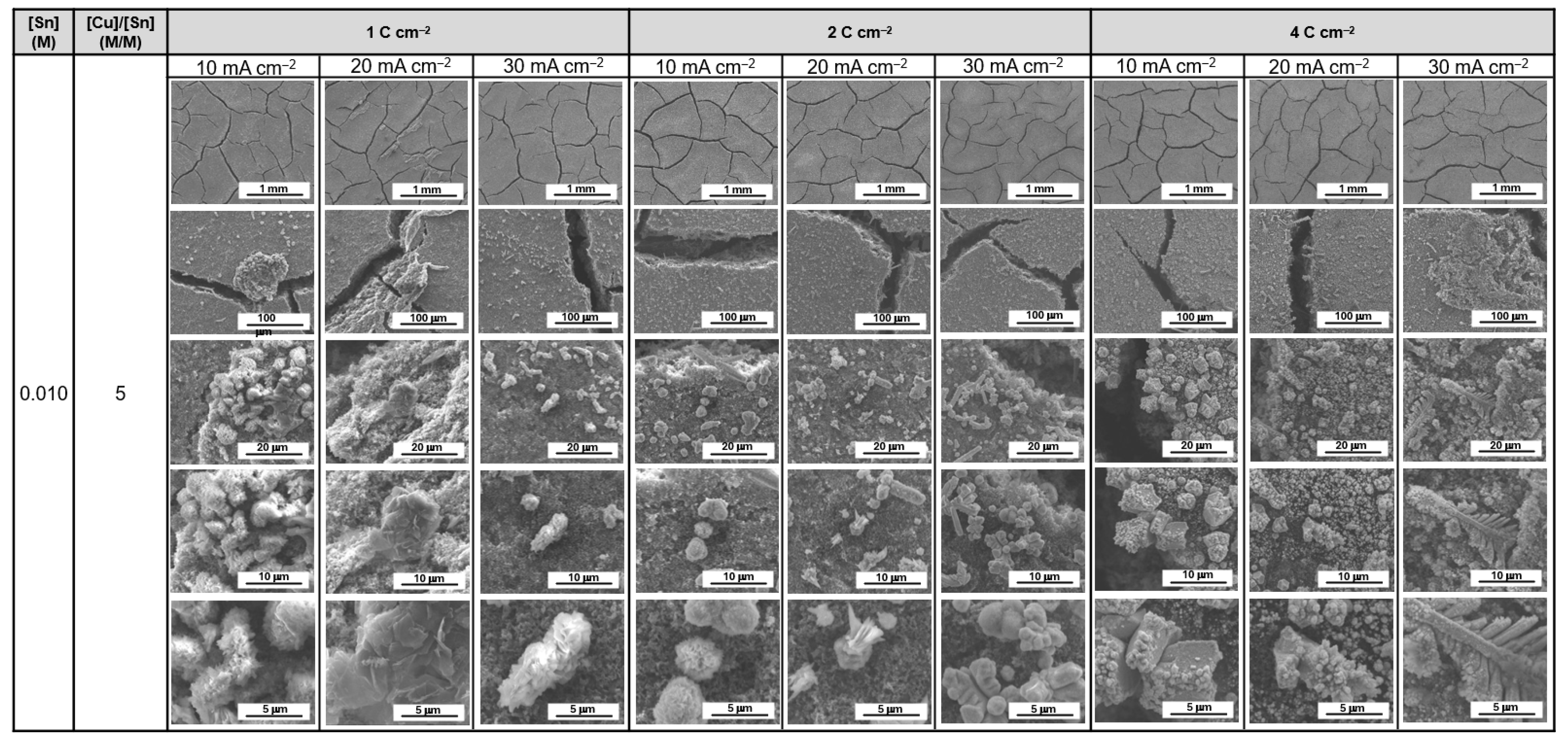 Catalysts 16 00269 g0a10 Catalysts 16 00269 g0a10