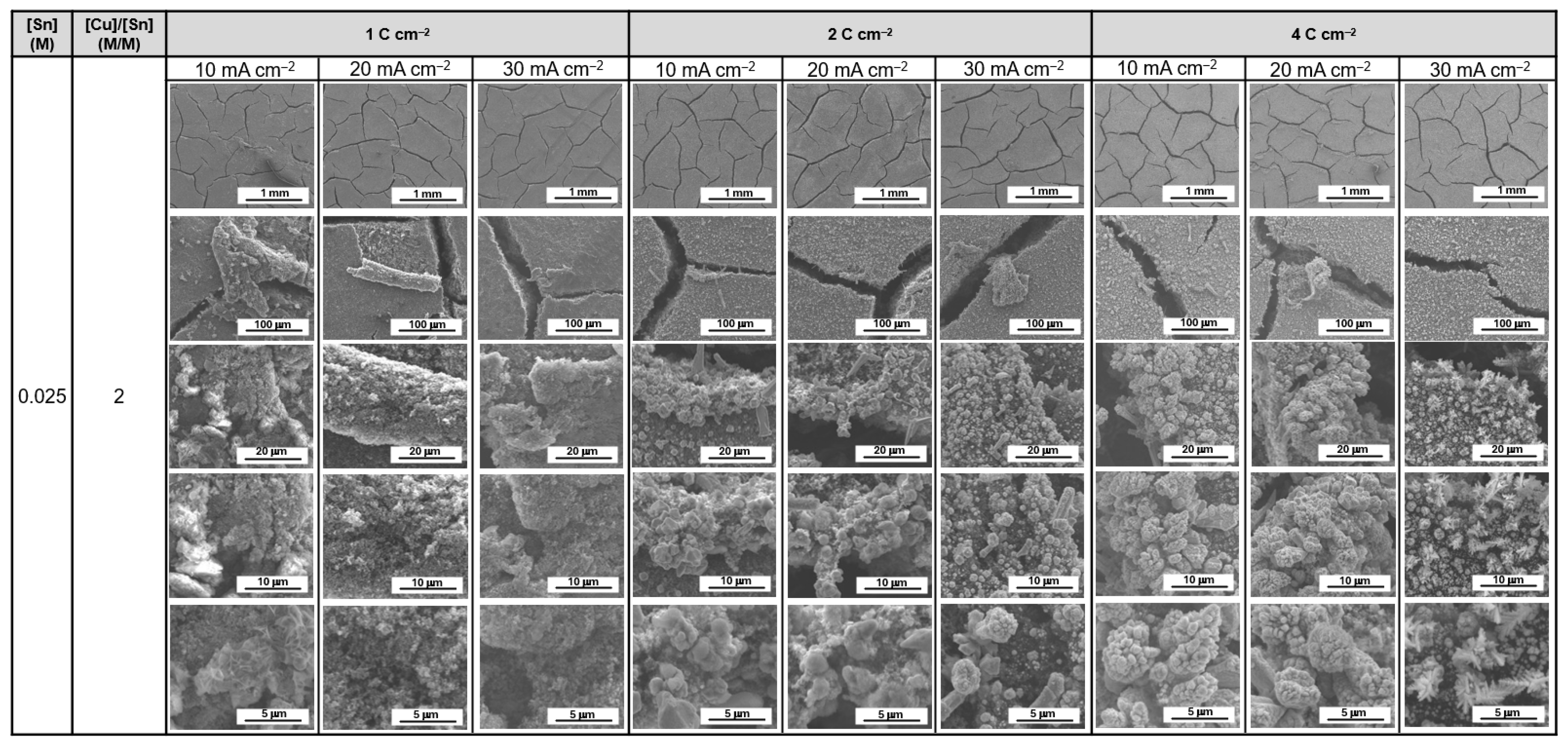 Catalysts 16 00269 g0a11 Catalysts 16 00269 g0a11