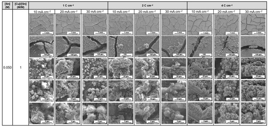 Catalysts 16 00269 g0a12