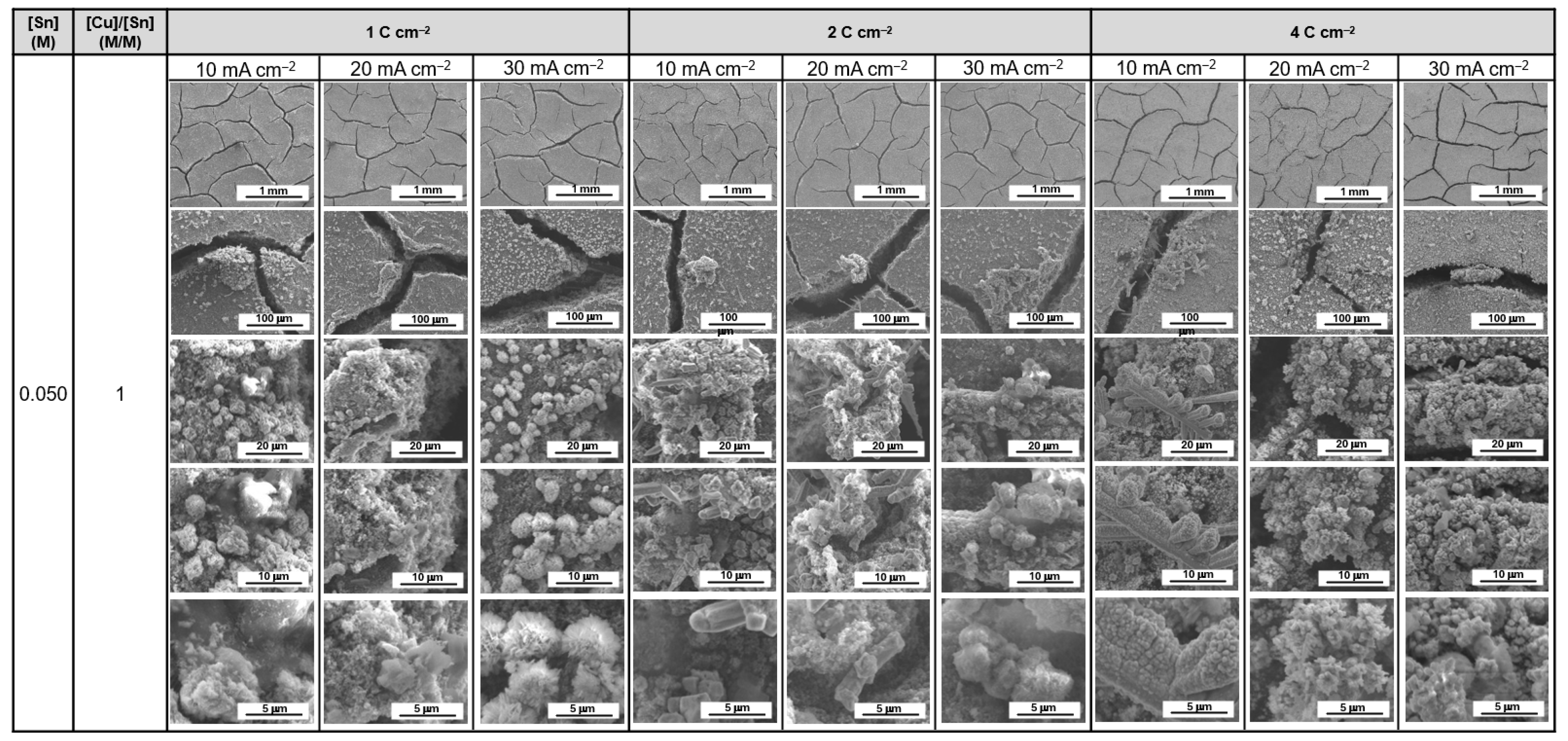 Catalysts 16 00269 g0a12 Catalysts 16 00269 g0a12