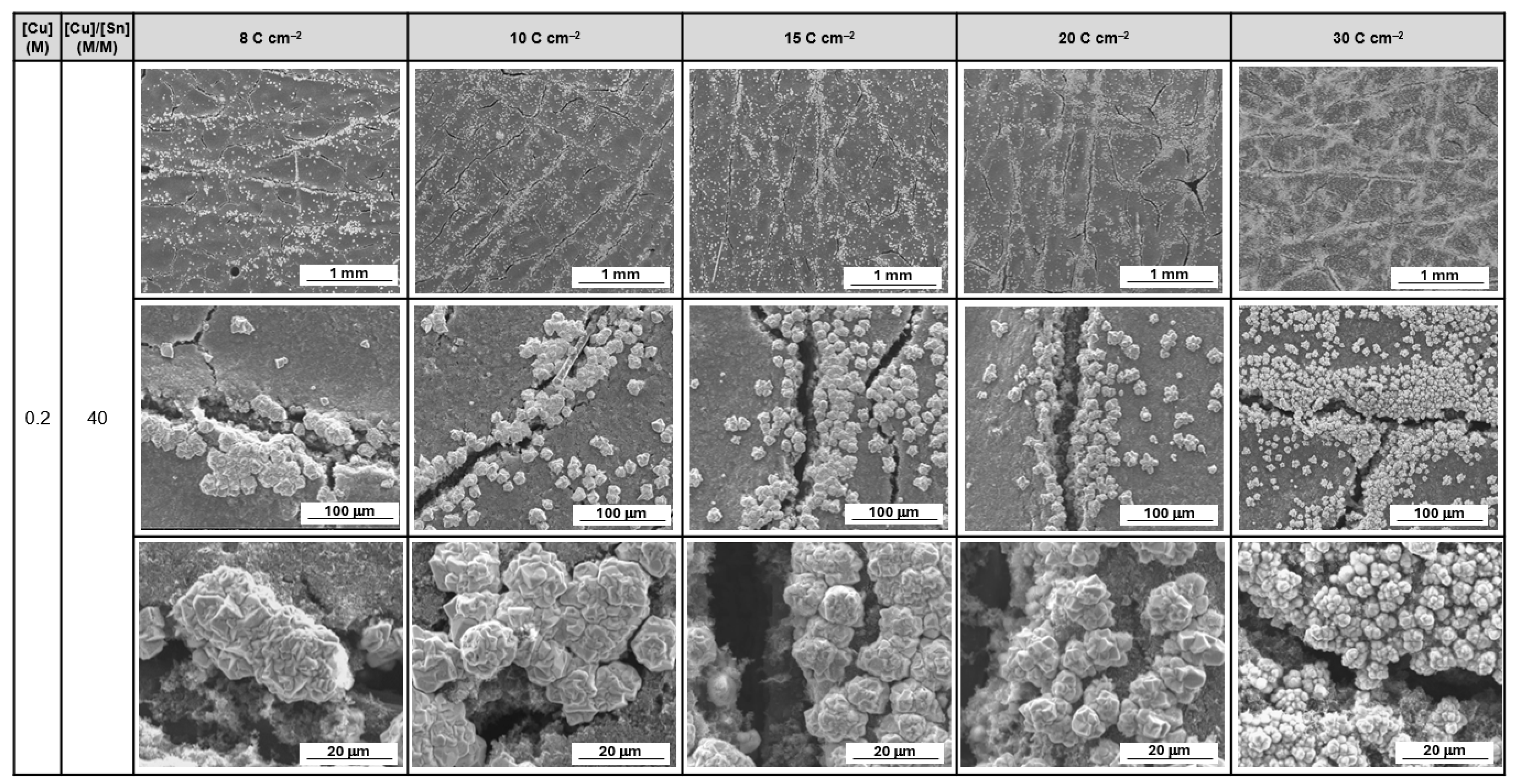 Catalysts 16 00269 g0a4 Catalysts 16 00269 g0a4